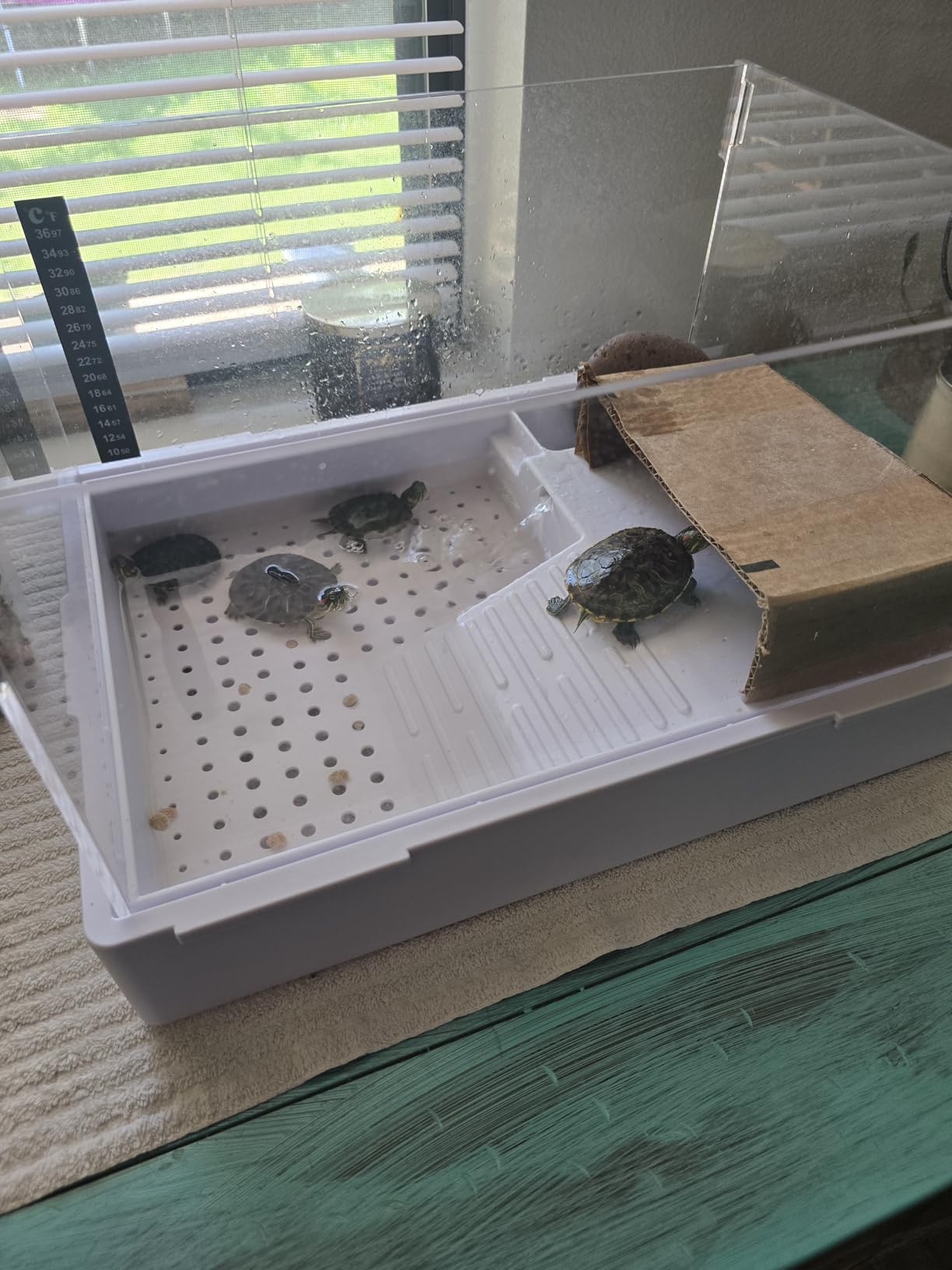 BETAZOOER Small Acrylic Turtle Tank Water Filter Reptile 15.7