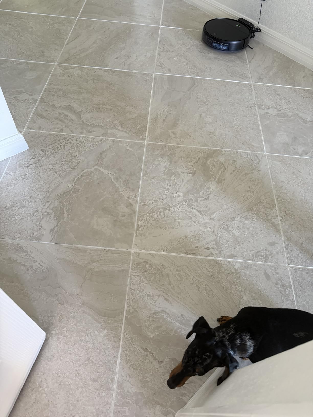 Kit - The Professional's Choice - Color and Seal Grout - Prevents Stains and Creates Easy to Clean Grout - 8oz Bottle, Wheel applicator, Brush applicator, and Scrub pad (Dark Grey) customer photo 2