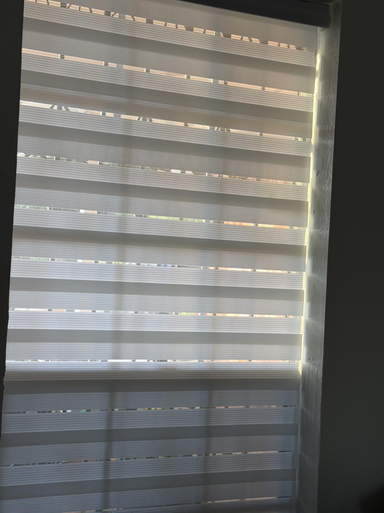 Joydeco Cordless Zebra Blinds for Indoor Windows, 35