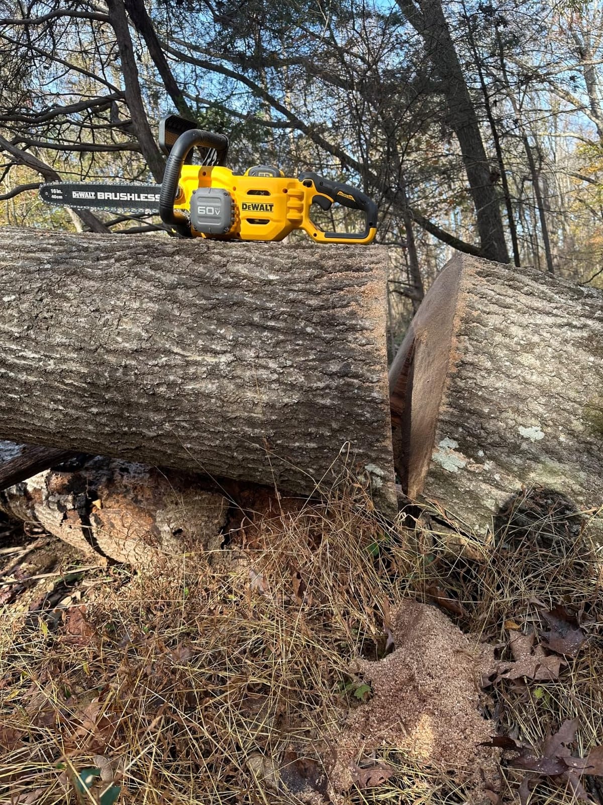 Dewalt Saw Chain BRUSHLESS Bare 18IN DCCS672B customer photo 1