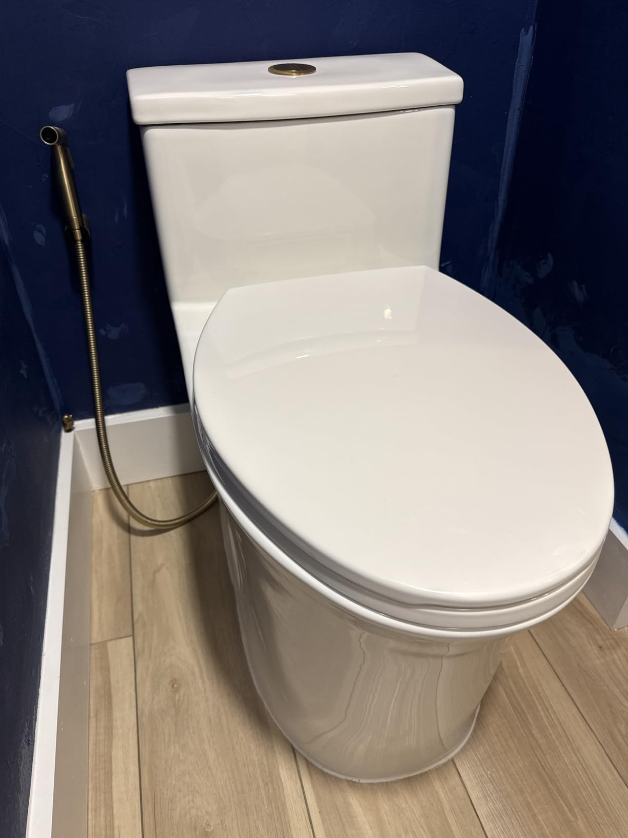HOROW T0338W One Piece Toilet with ADA Chair Height 17.3