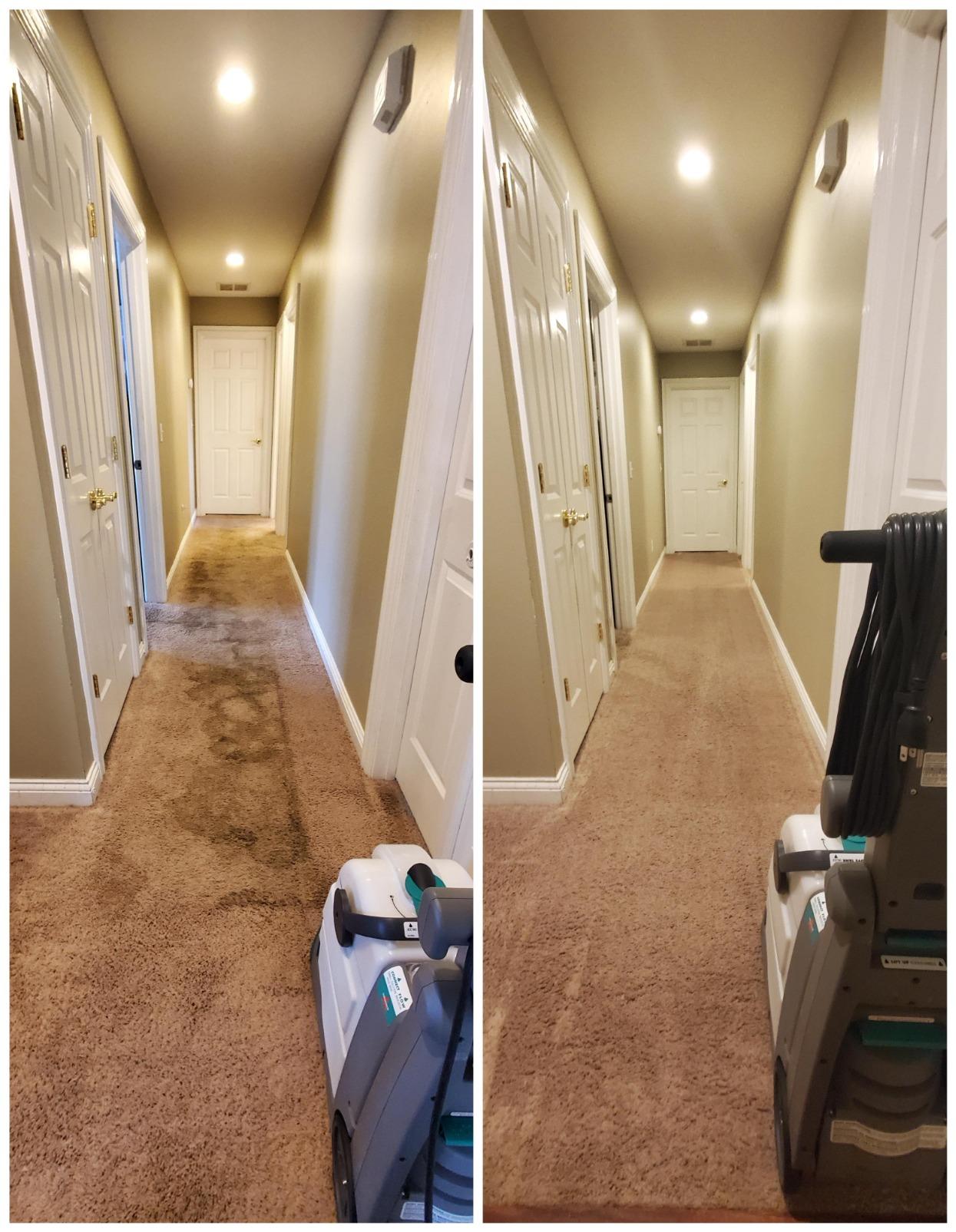 BISSELL Big Green PET PRO Carpet Cleaner, XL DirtLifter PowerBrush customer photo 2