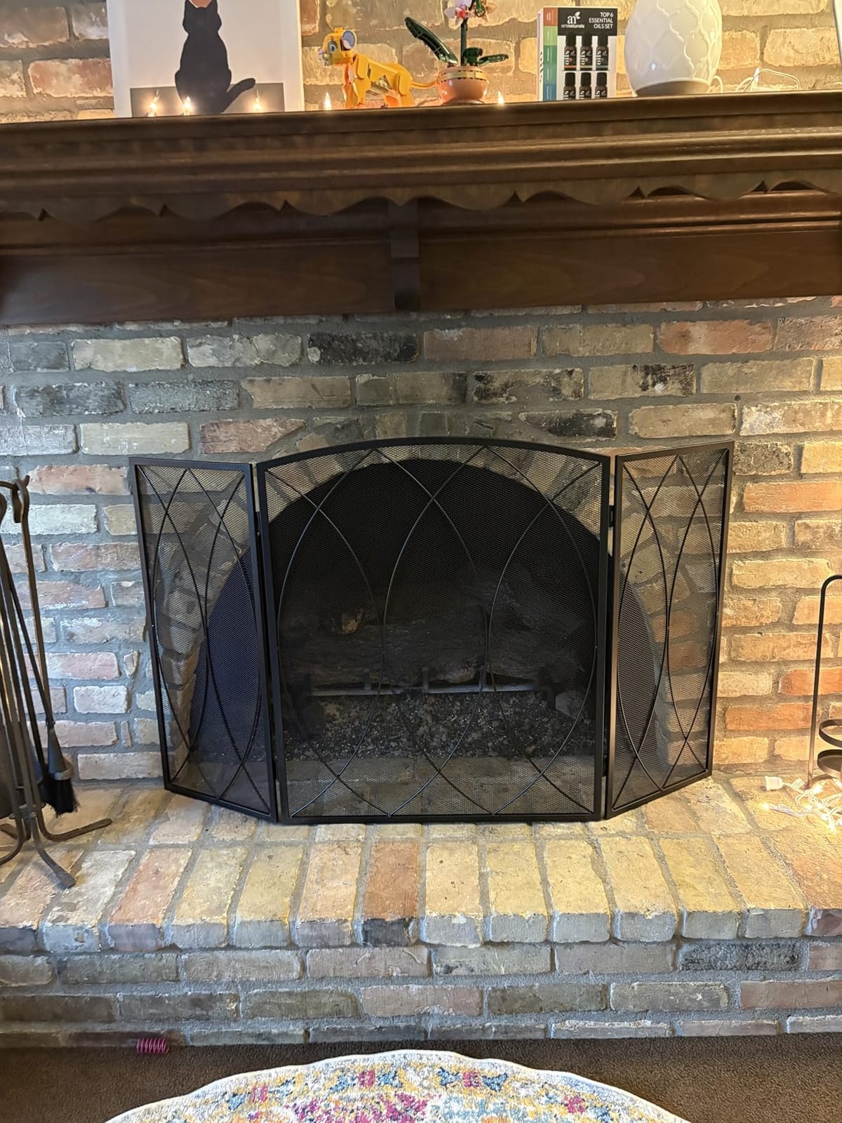 FEED GARDEN 3-Panel Fireplace Screen 48
