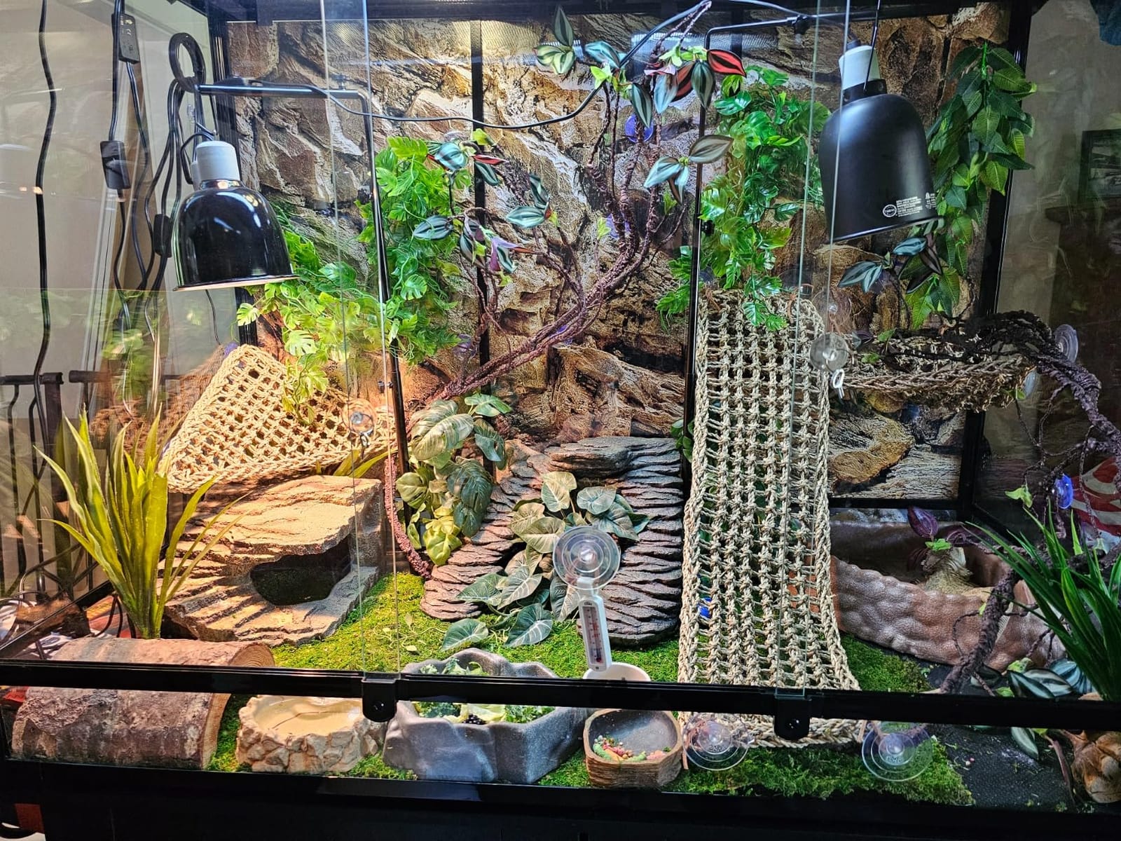 Full Glass Long Tank Reptile Terrarium 20 Gallon, Front Opening Terrarium 30