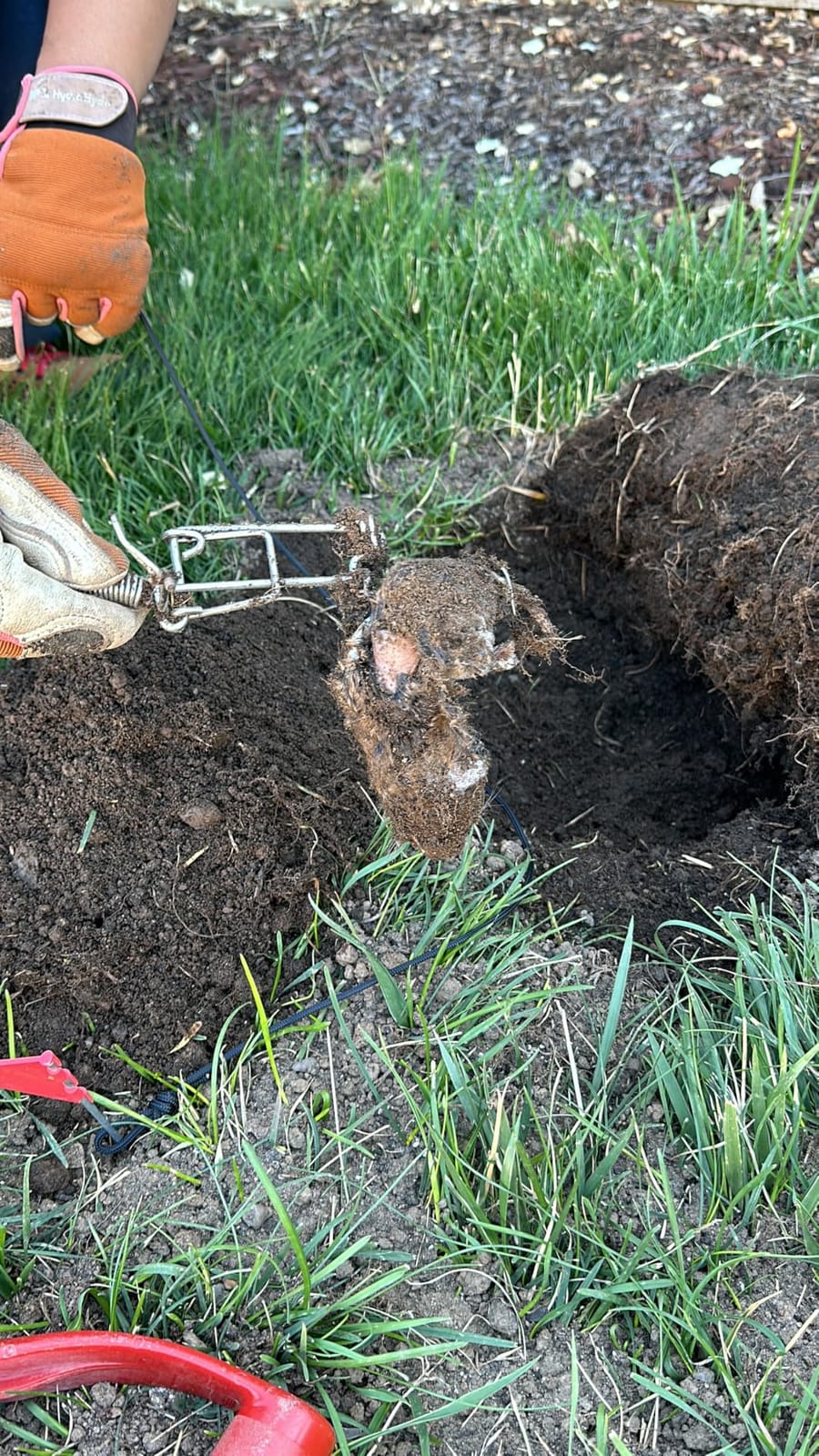 Worlds Best Gopher Trap, New, Stainless Steel, (3 Pack) USA Made! Weatherproof-Reusable, Below Ground, Pocket Gopher Kill Trap customer photo 1