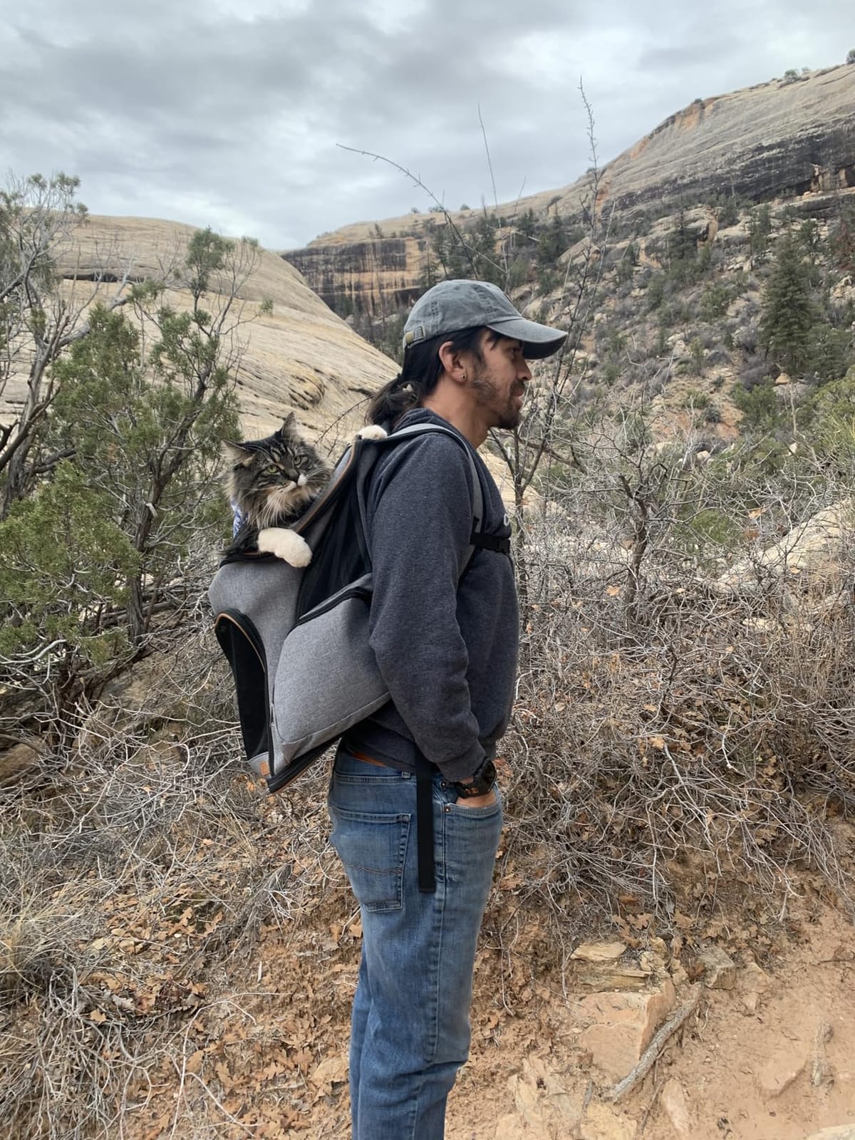 Lekereise Pet Carrier Backpack Expandable Cat Backpack Carrier for Small Dogs Large Cats Puppies, Dog Backpack Carrier for Hiking Travel Outdoor Hold Pets Up to 20 25 Lbs, Grey customer photo 1