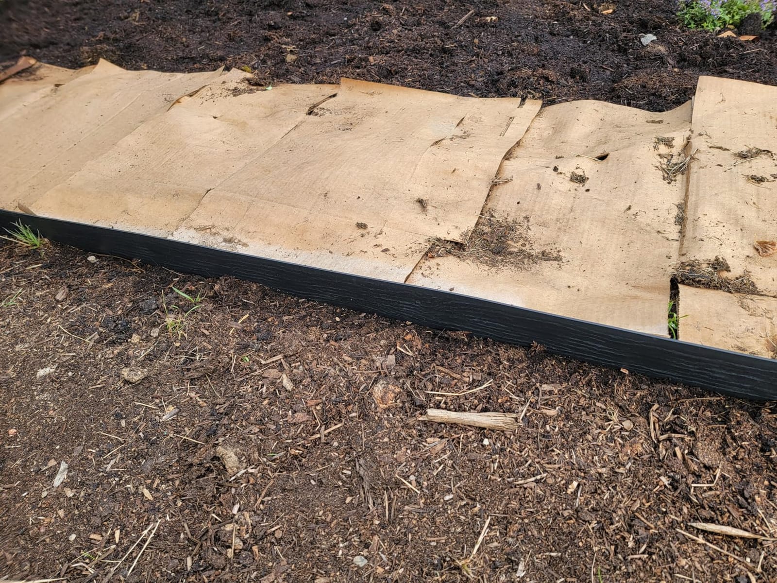 EasyFlex 2.5