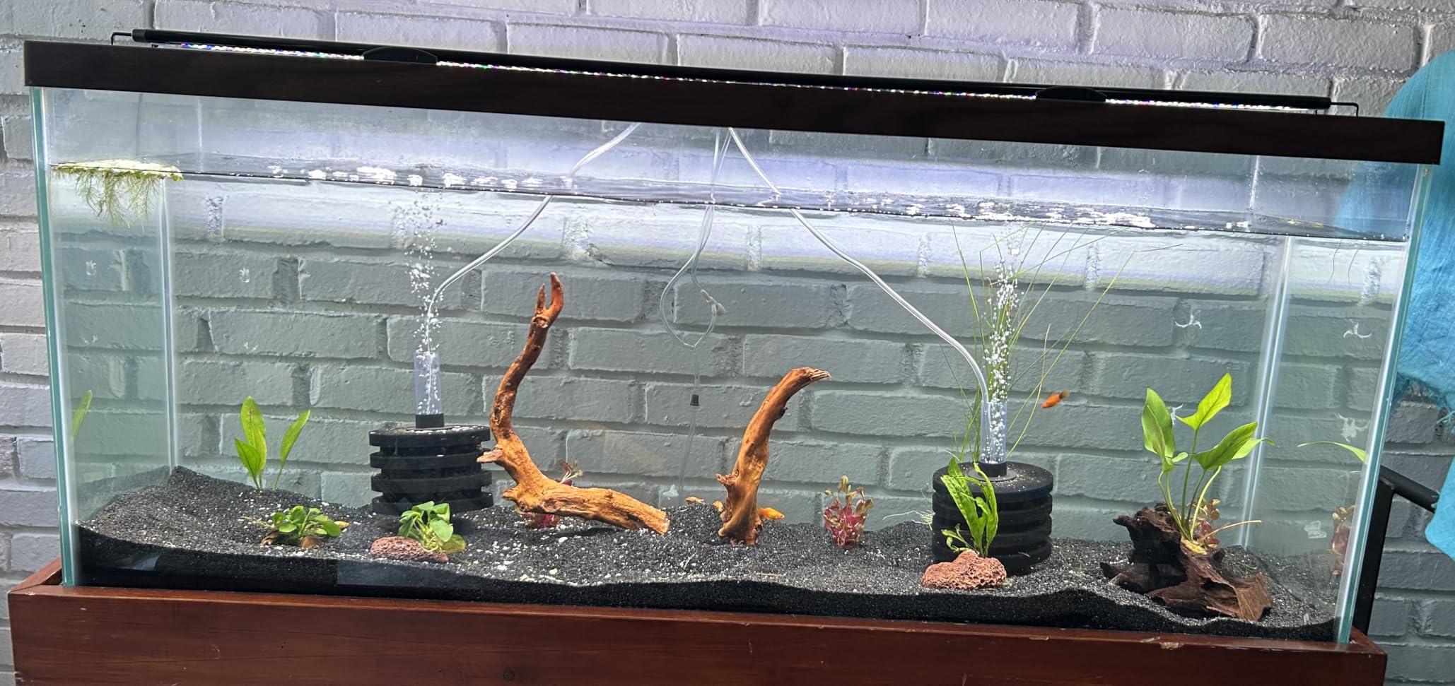 SEAOURA Led Aquarium Light for Plants-Full Spectrum Fish Tank Light 18-24'' customer photo 1
