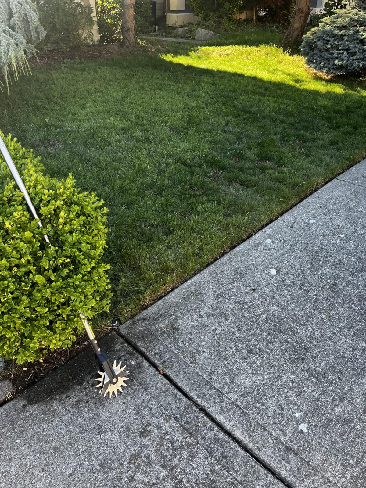 BARAYSTUS Wheel Rotary Edger Lawn Tool, Grass Edge Trimmer, Sidewalk Manual Lawn Edger, Strong 3 Sections Stainless Steel Handle with Cushion Grip, 58.3-Inch customer photo 2