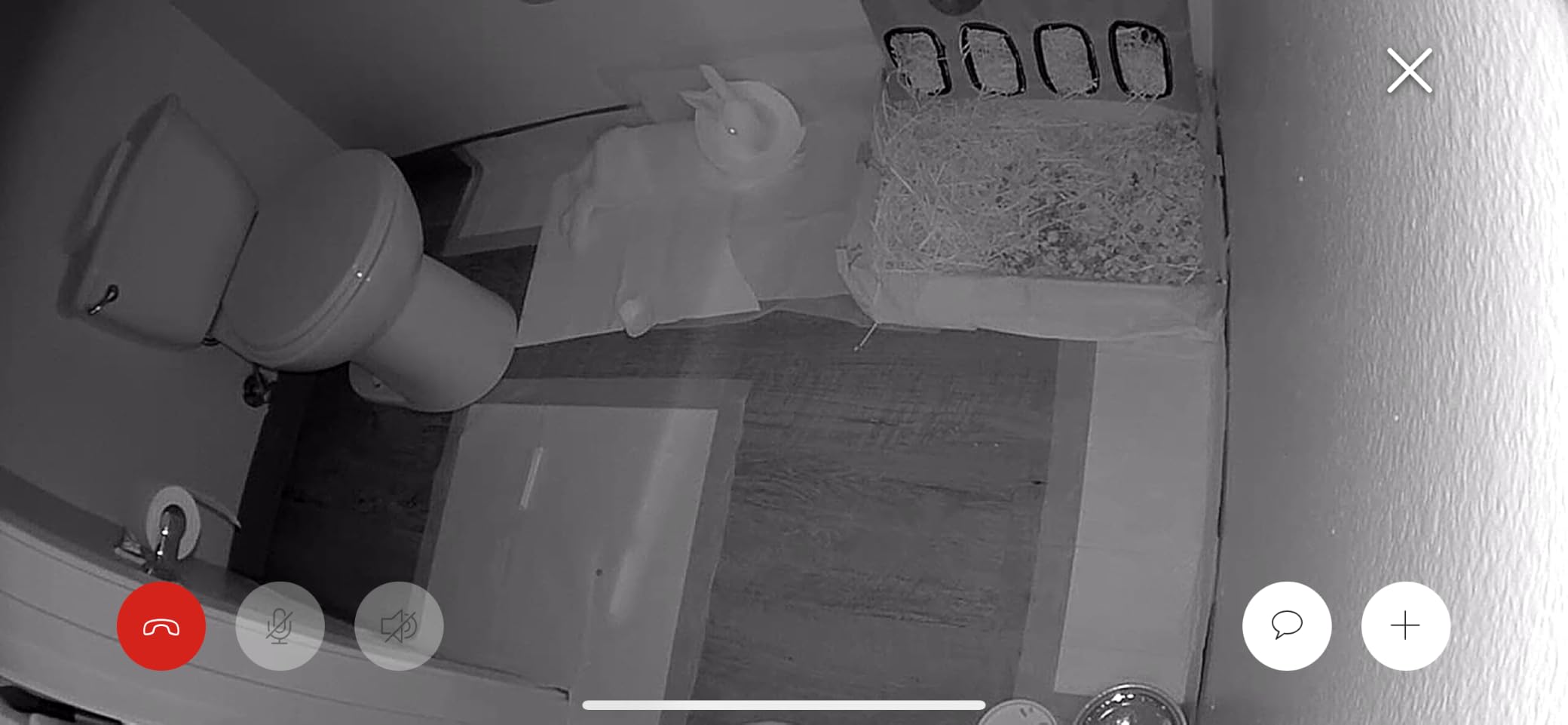 Ring Indoor Cam (newest model) — Home or business security in 1080p HD video, White customer photo 1