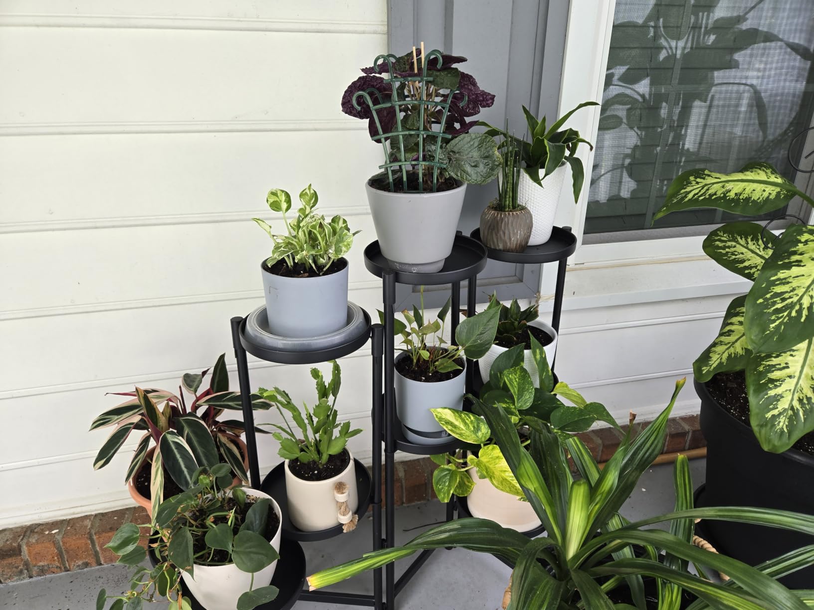 iDavosic.ly Plant Stand Indoor Outdoor, 5 Tier Metal Corner Shelf, Black customer photo 1