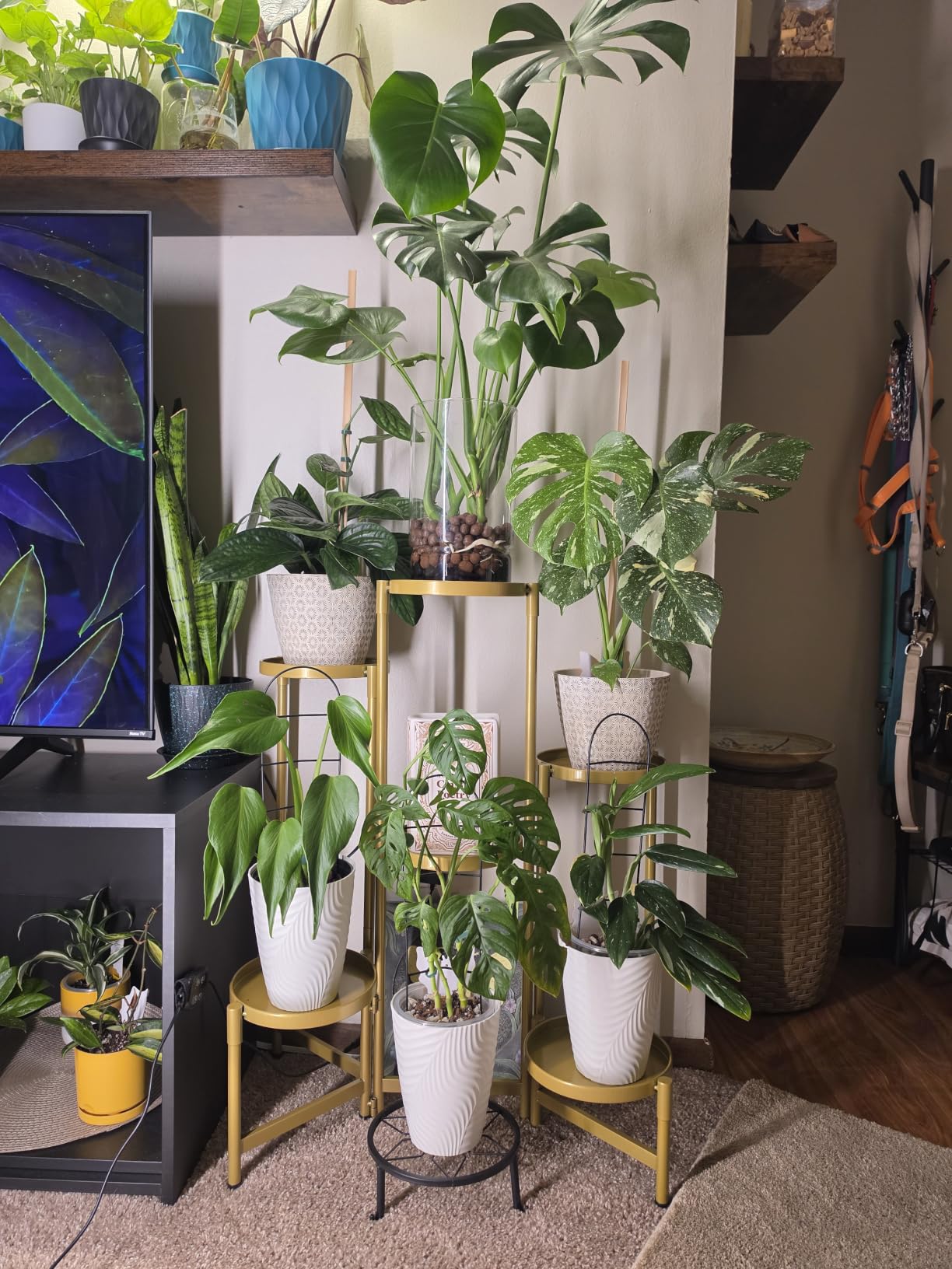 iDavosic.ly Plant Stand Indoor Outdoor, 5 Tier Metal Corner Shelf, Black customer photo 2