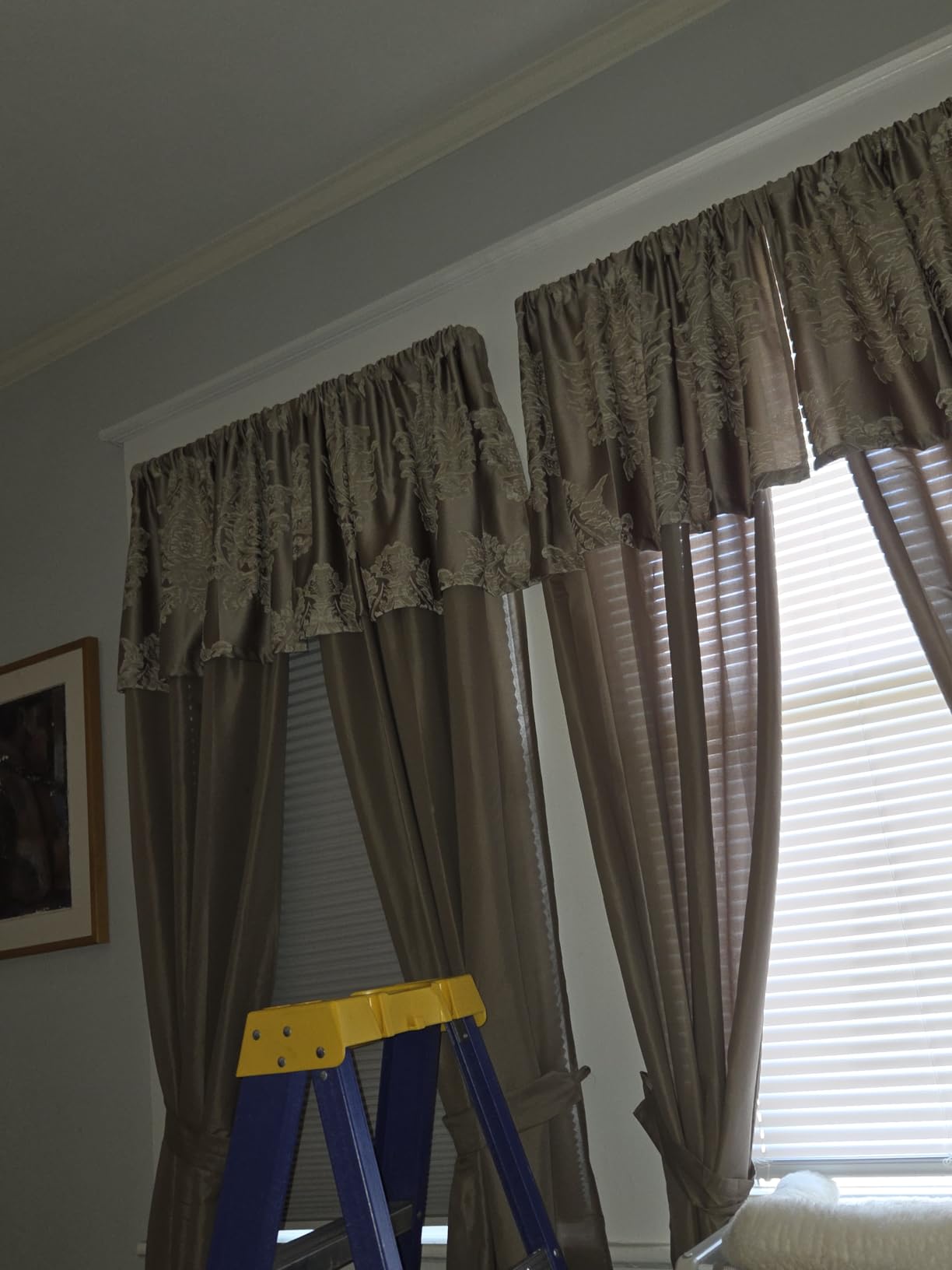 Changshade Cordless Cellular Shades,Light Filtering Honeycomb Shades for Windows,Pull Down Pleated Blinds,Easy to Install for Indoor Windows and French Doors,White,Custom Size customer photo 1