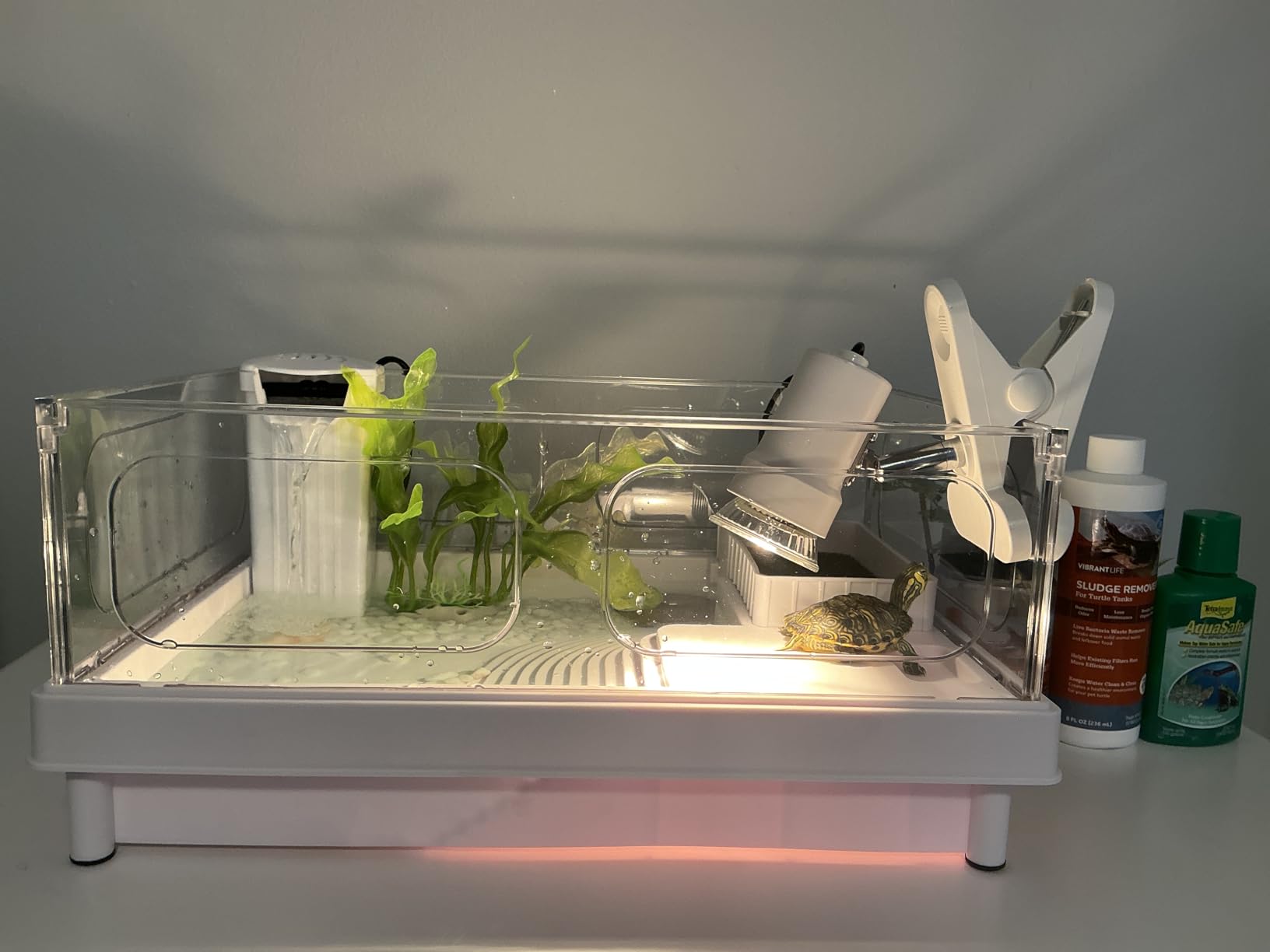 MoonOrange Small Turtle Tank Kit(Tank+Light+Filter), Acrylic Turtle Tank Starter Kit with Bask Platform, Bottom Drain, Multi-Function Area for Small Reptiles.(White) customer photo 1