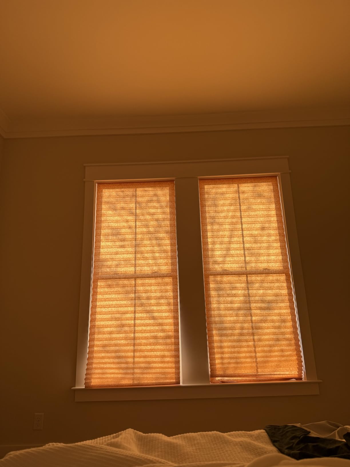 LazBlinds 100% Blackout Roller Shades, 36