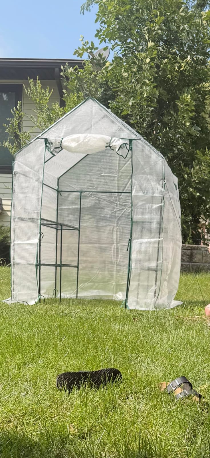 56x55x78 Walk-in Greenhouse for Outdoors, 3-Tier Plant House with 8 Shelves | 8 Shelves, Two Mesh Windows, Roll-Up Door, PE Cover, 16mm Steel Frame, Stakes and Ropes for Seedlings and Seasonal Protection customer photo 1