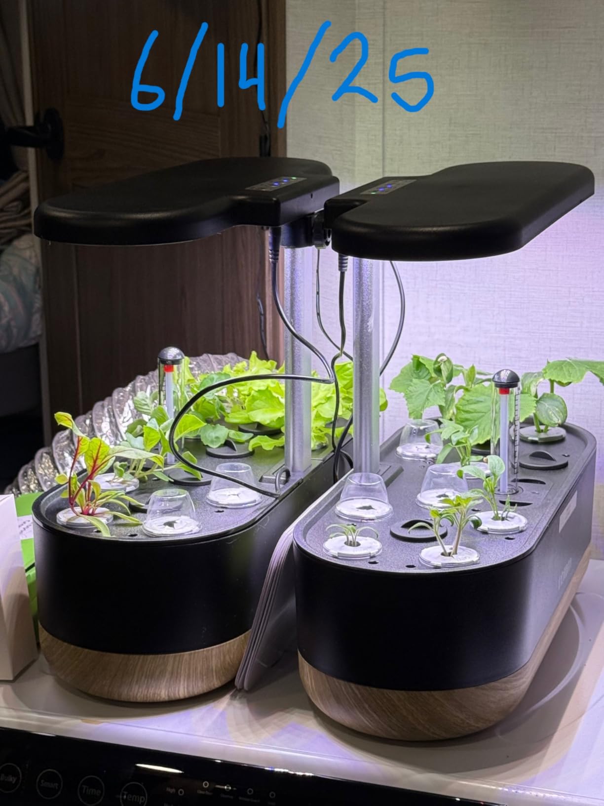 inbloom Hydroponics Growing System 12 Pods, Indoor Herb Garden with LEDs Full-Spectrum Plant Grow Light, Water Shortage Alarm, Automatic Timer, Height Adjustable,Gardening Gifts for Women, White customer photo 2