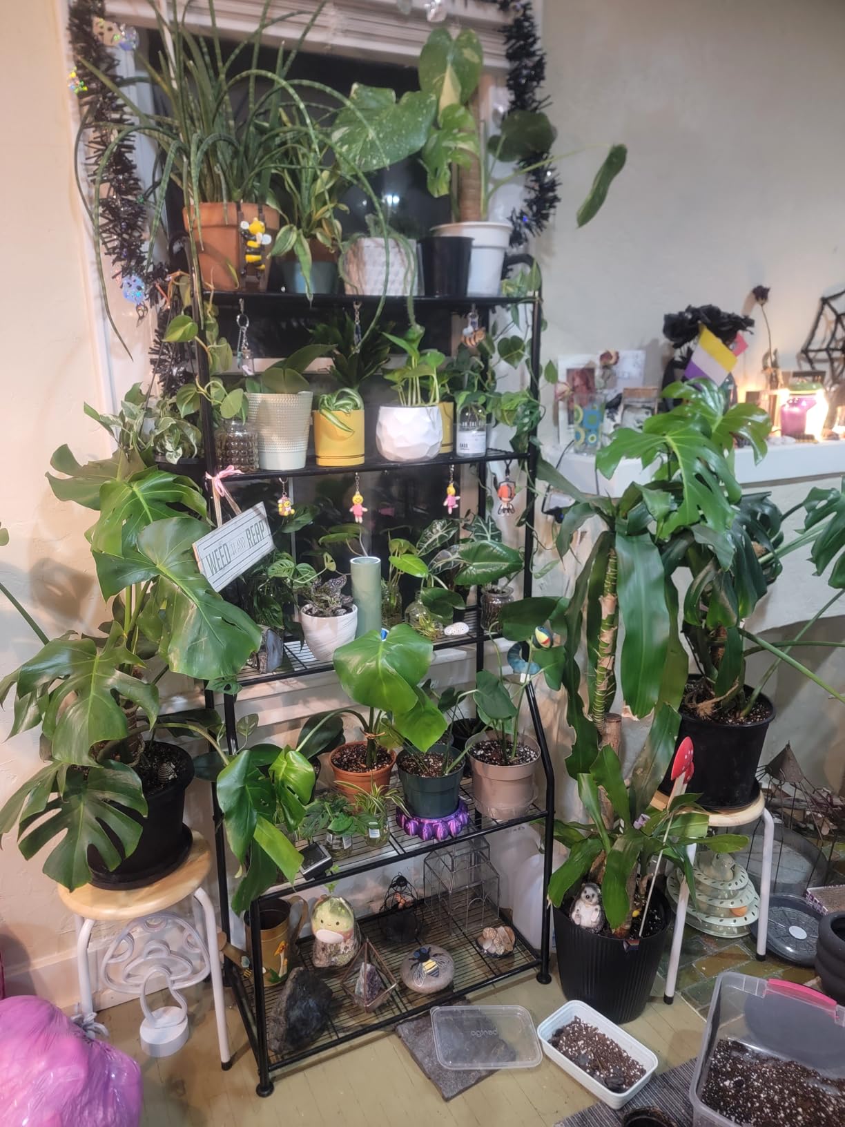 Simple Trending Plant Stand Outdoor Indoor 3 Tier Metal Waterproof Plant Shelf for Living Room Balcony Garden customer photo 2