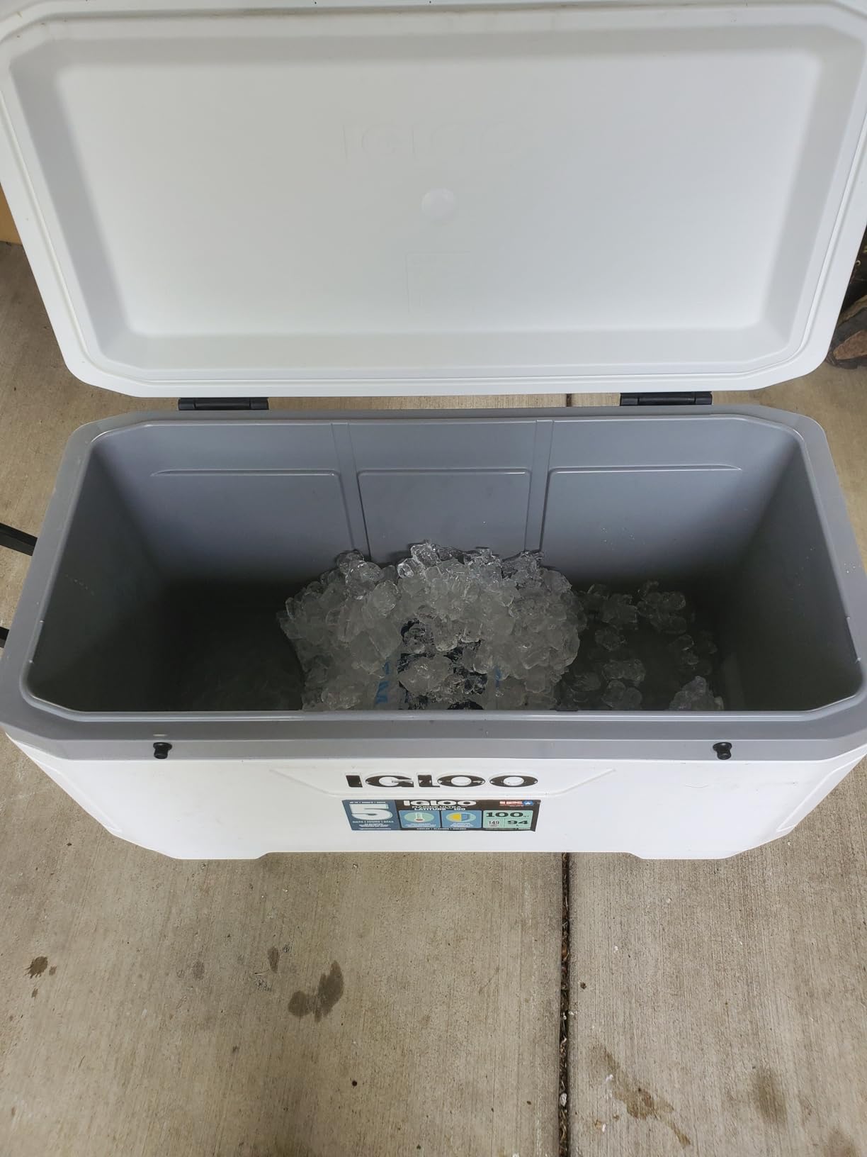 Igloo Marine Cooler | Insulated Hard Shell Ice Chest | Great for Fishing, Camping, Boating, & More customer photo 1