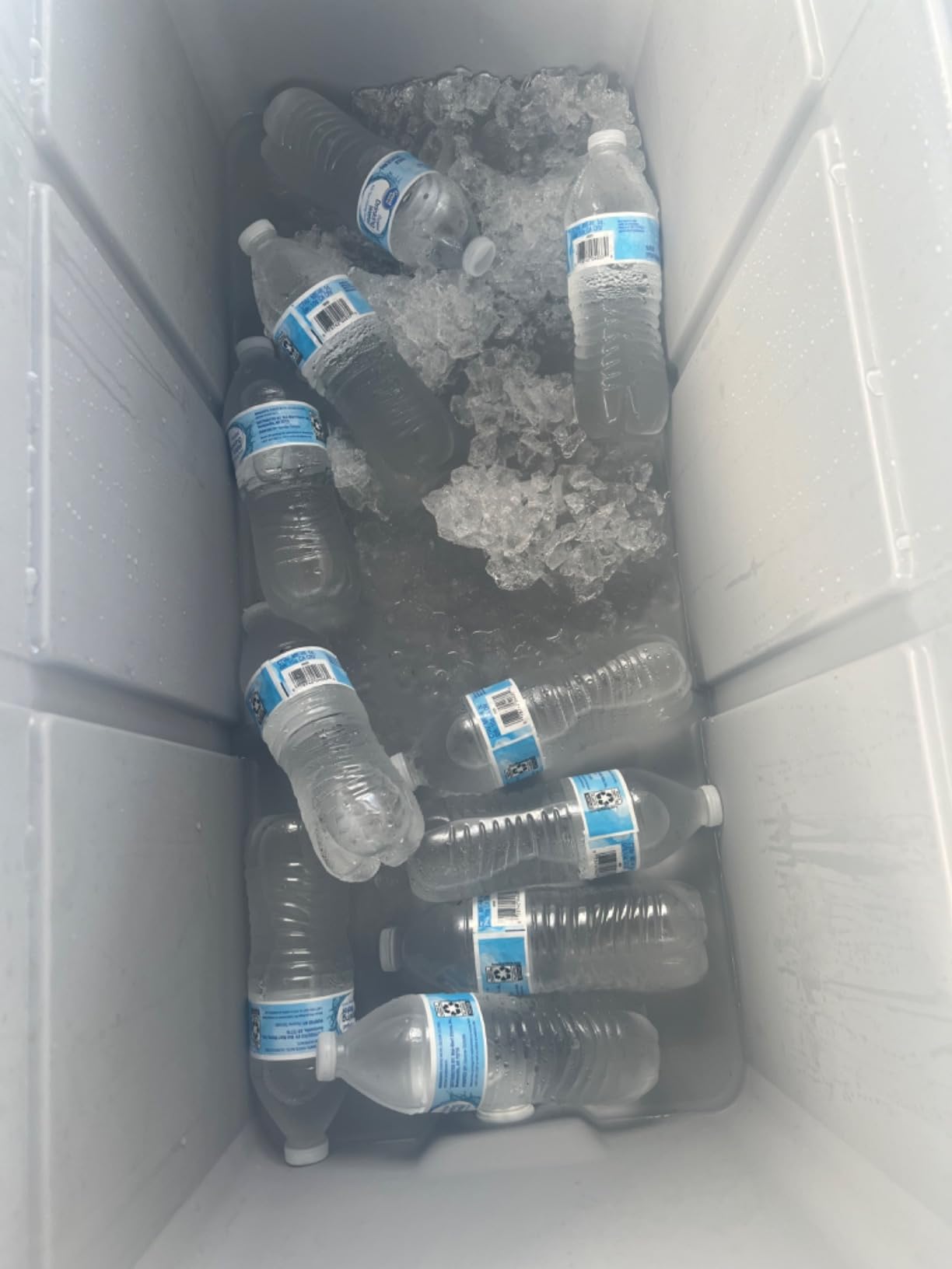 Igloo Marine Cooler | Insulated Hard Shell Ice Chest | Great for Fishing, Camping, Boating, & More customer photo 2