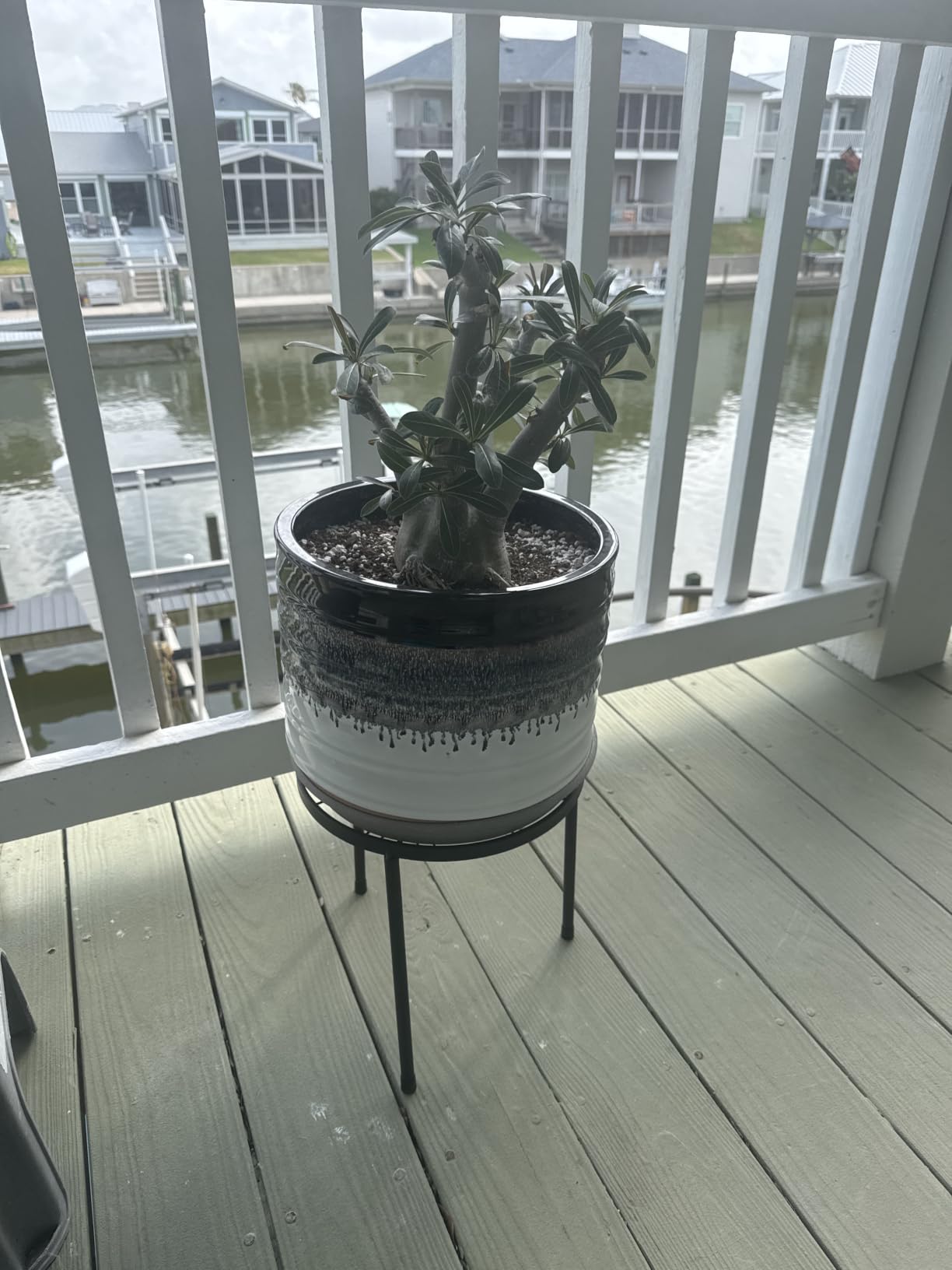 Linpla 5-Pack Decent Metal Plant Stand Indoor Outdoor Low Plant Shelf customer photo 1