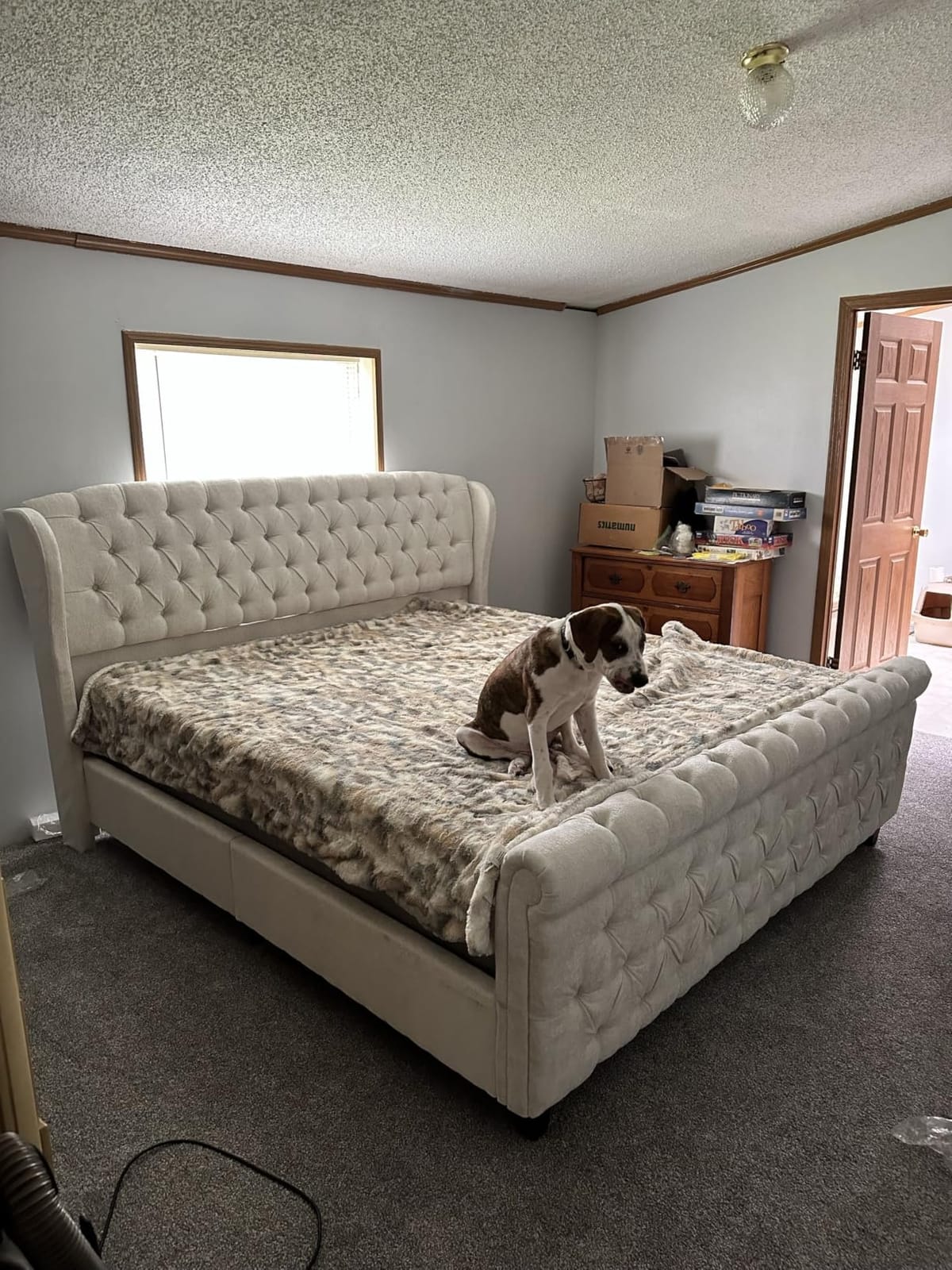 AMERLIFE King Size Upholstered Sleigh Platform Bed Frame with Headboard | Bed Frame with Wingback Headboard, Deep Button Tufted, Wood Slats Support, No Box Spring Needed, Cream Chenille customer photo 1