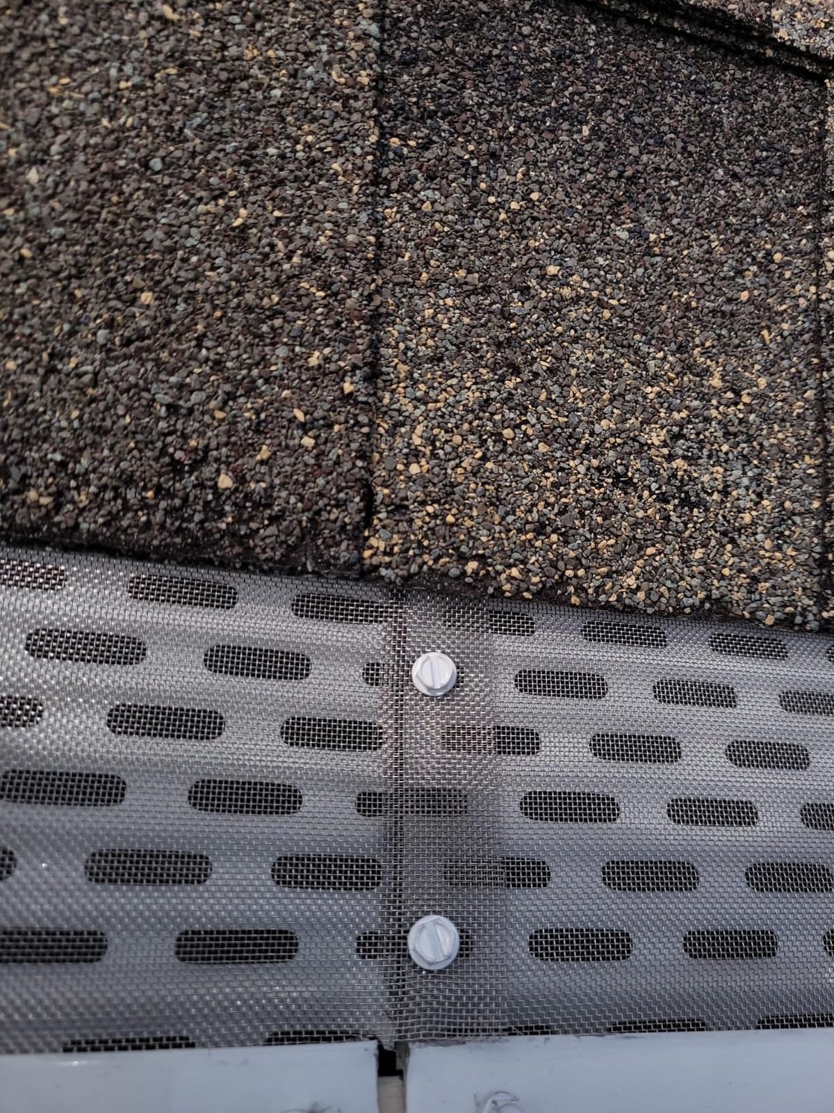 DIY Gutter Guards, 5 Inch, 100 FT, Stainless Mesh, White customer photo 2