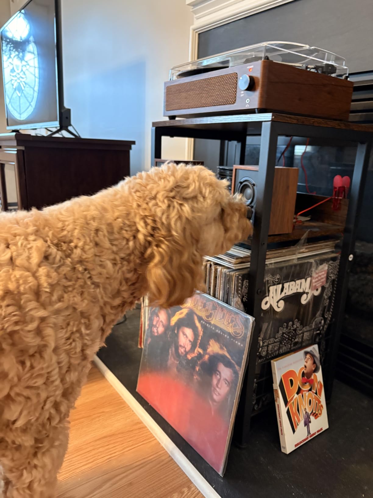 LELELINKY 3 Tier End Table,Record Player Stand with Storage Up to 100 Albums,Turntable Stand for Vinyl,Brown Records Shelf for Living Room Bedroom customer photo 2