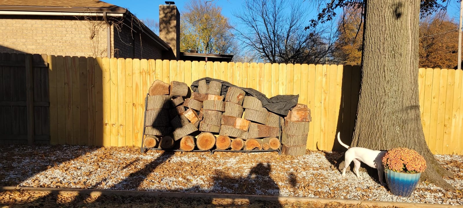 VEVOR 12.7FT Outdoor Firewood Rack with Cover, Firewood Holder for 3/4 Cord customer photo 2