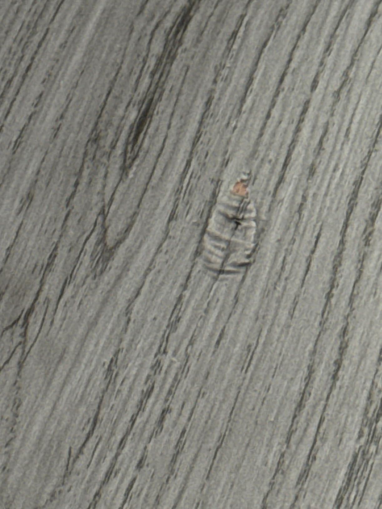 Lareko Peel and Stick Floor Tile, Vinyl Wood Plank Flooring Roll customer photo 2