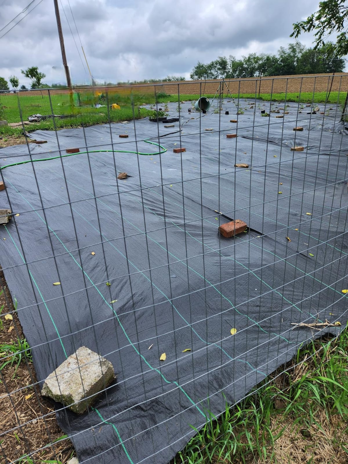 EXTRAEASY 6ft x 100ft Garden Weed Barrier Landscape Fabric,Weed Block Fabric Heavy Duty 3.2OZ,Woven Mulch for Landscaping Ground Cover Weed Control Fabric, Black Garden Bed Liner customer photo 2