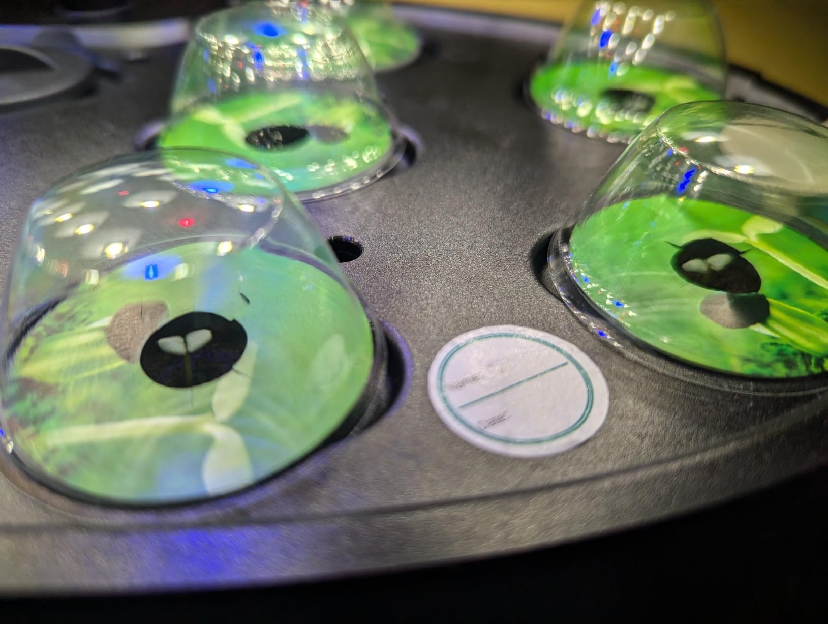 Ahopegarden Hydroponics Growing System: 12 Pods Indoor Herb Garden with LED customer photo 1
