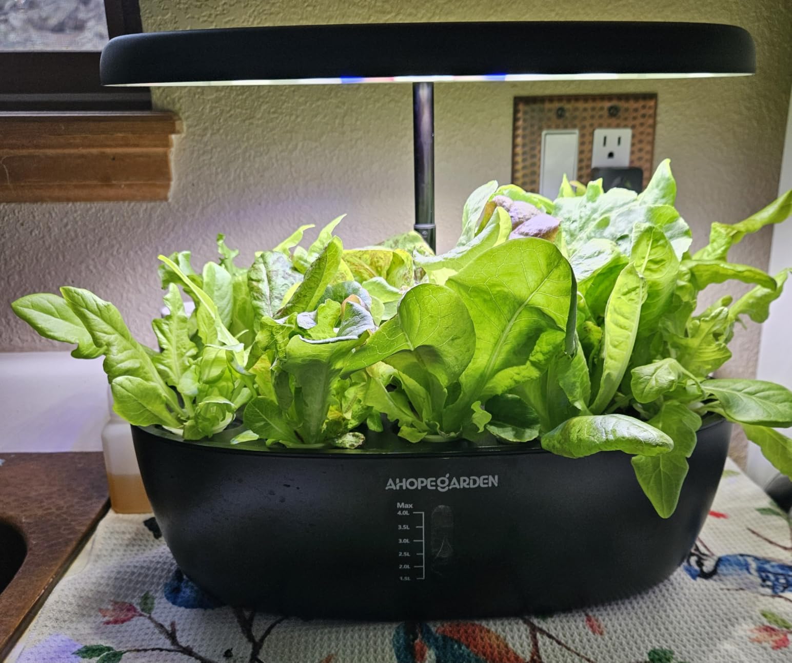 Ahopegarden Hydroponics Growing System: 12 Pods Indoor Herb Garden with LED customer photo 2