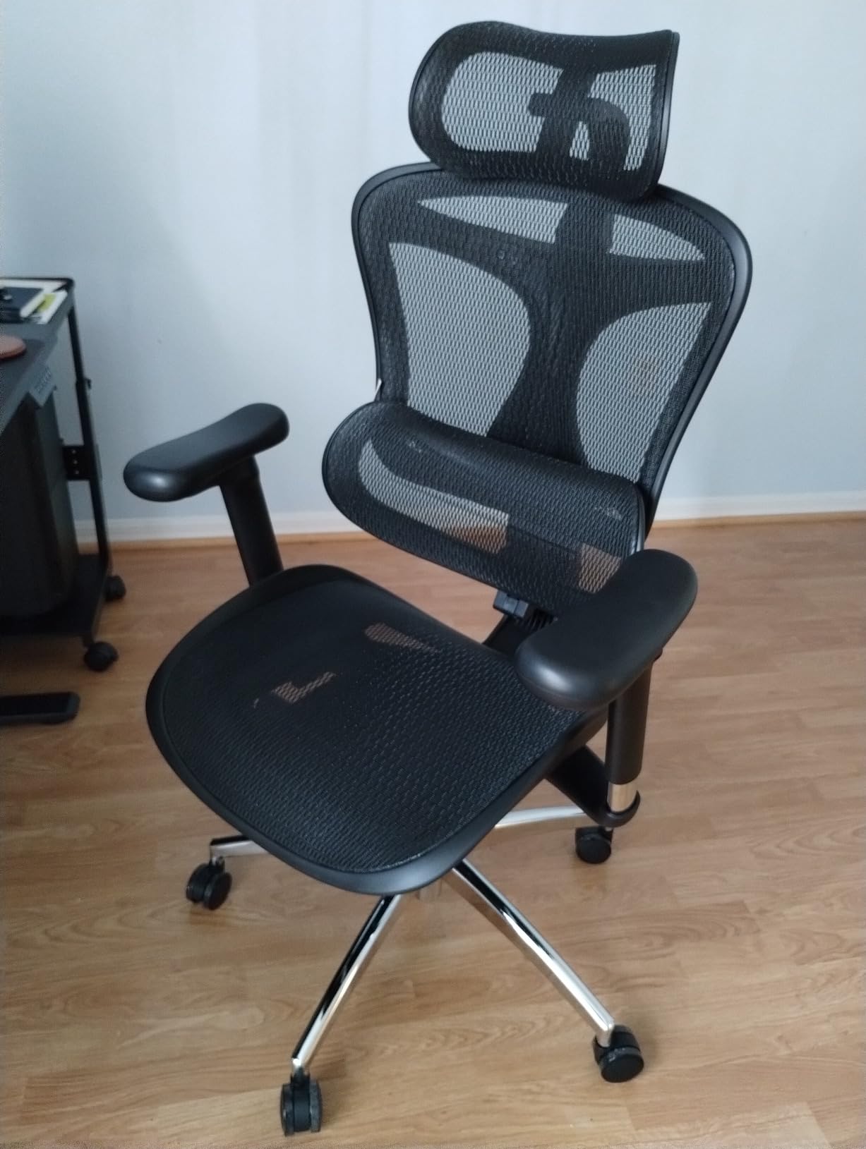 SIHOO Doro C300 Ergonomic Office Chair with Ultra Soft 3D Armrests customer photo 1