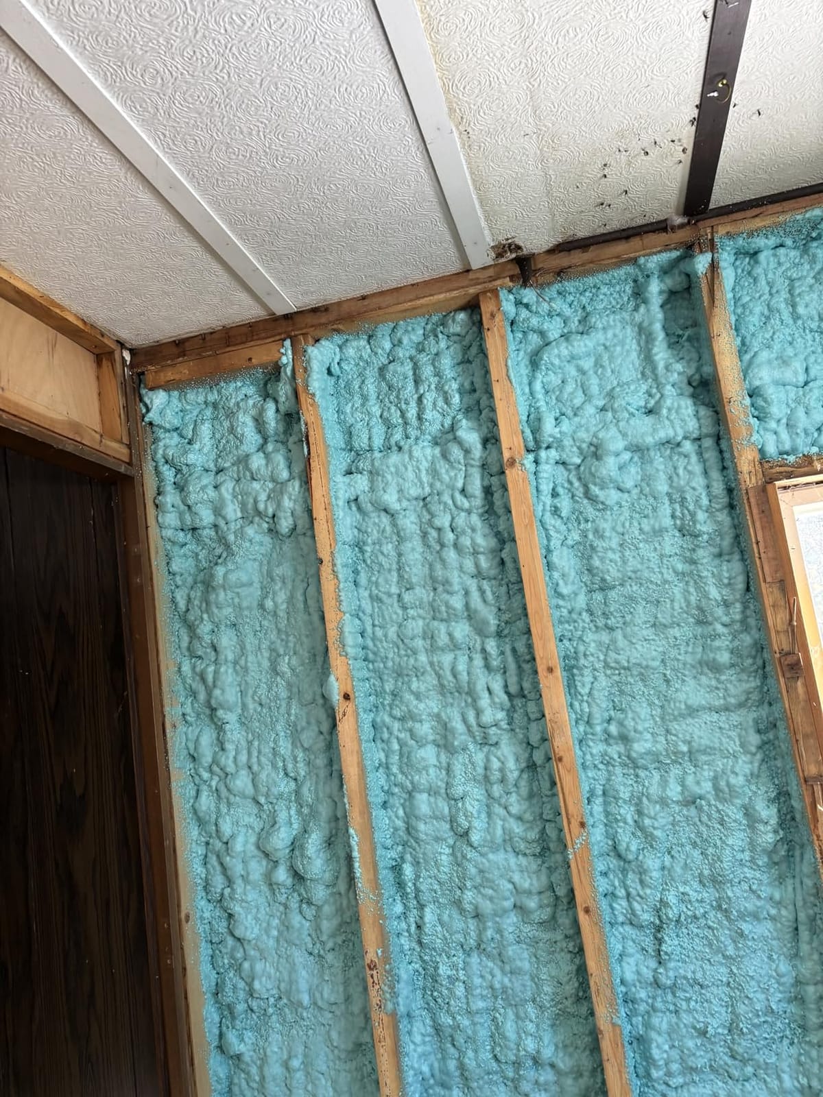 QuickCoat Closed Cell Spray Foam Insulation Kit for Wall–12x32.8oz(930g) Covers 240 Board Ft–DIY Expanding Sealant Set, Insulates Heat&Sound, Fills Gaps&Cracks–12 Foam Cans, Cleaner, Gun&Safety Gear customer photo 2