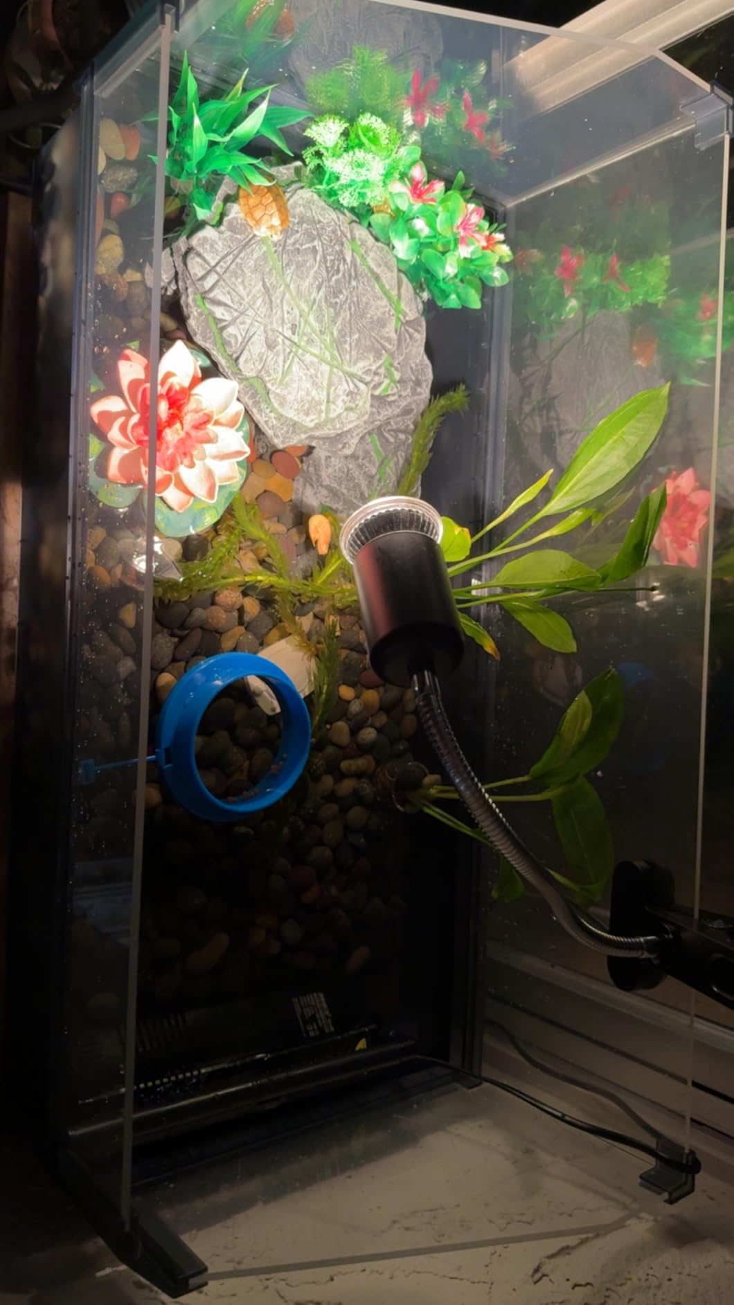 Large Turtle Tank Kit for Aquatic Turtles – Complete Starter Habitat with Filter, UVB Lamp, Basking Platform, Plants, Feeding Ring – Turtle Aquarium Kit (Black) customer photo 2