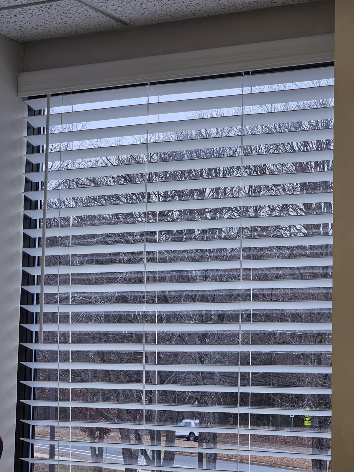 LazBlinds 2