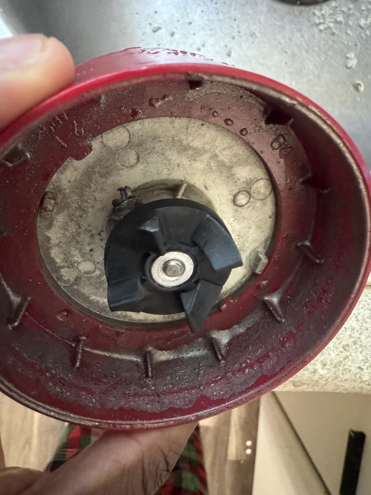 Ganiza Smoothie Blender, 900W Blenders Shakes and Smoothies customer photo 2