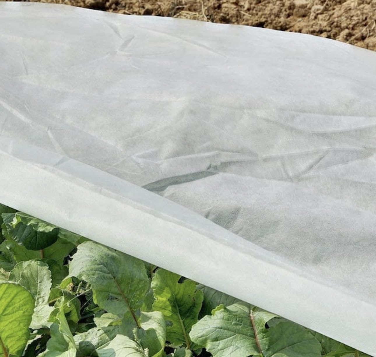 Garutom Plant Covers Freeze Protection 10ft x 33ft 1.1 oz Frost Cloth Plant Freeze Protection, Frost Blankets for Outdoor Plants Winter or Floating Row Covers Shade Cloth for Gardens, Vegetables customer photo 2