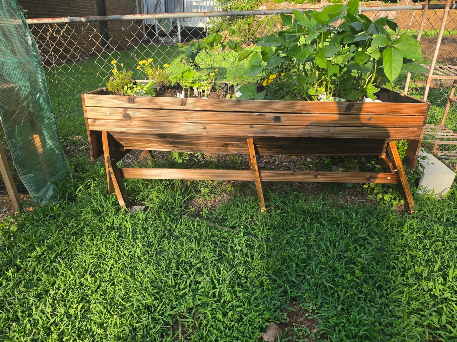 VEIKOU 6x3x2FT Raised Garden Bed, Outdoor Oversize Planter Box with Liner, Cedar Garden Bed with Legs for Vegetables Flower Herb, 837lbs Capacity, Rustic Brown customer photo 1