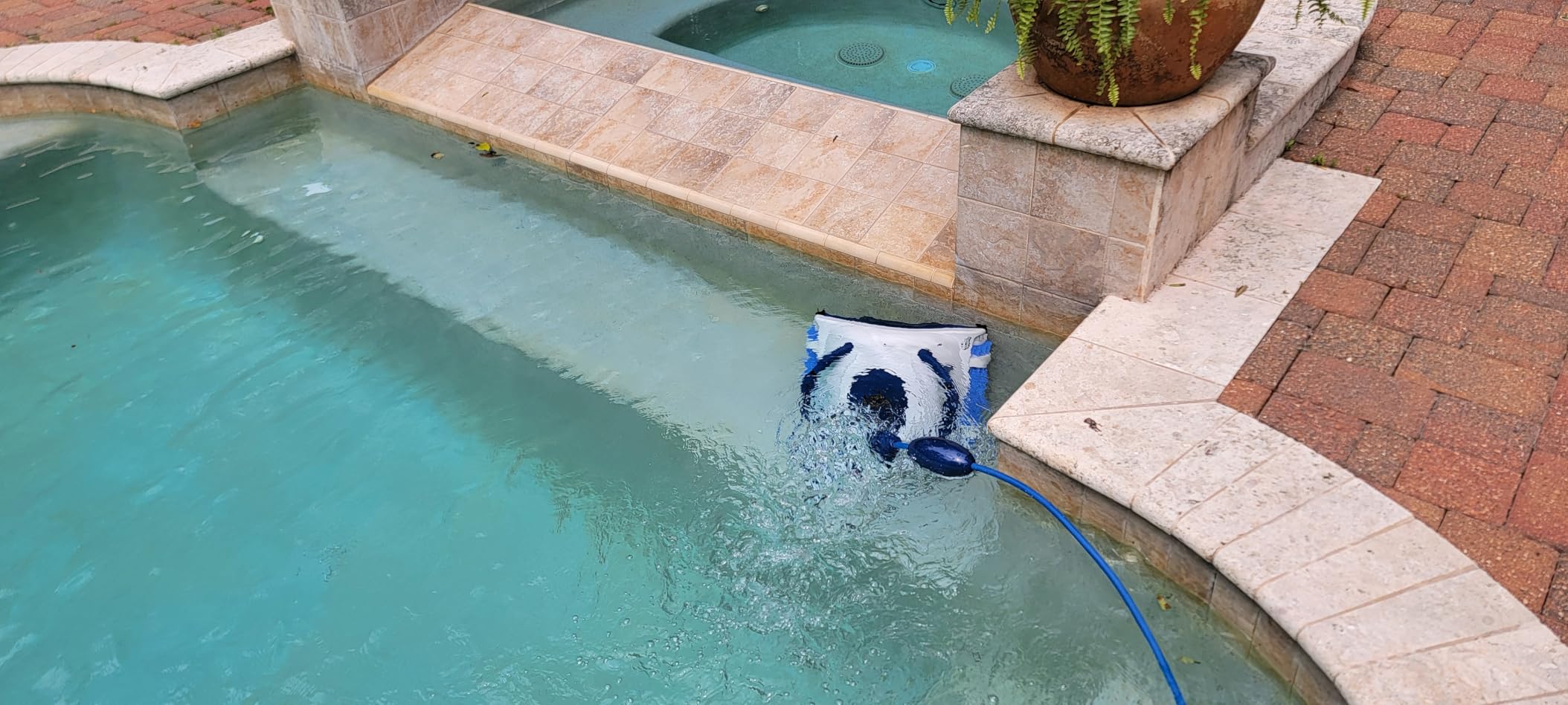 Dolphin Nautilus Pool-Up Robotic Pool Vacuum Cleaner up to 26 FT - Wall Climbing with Scrubber Brush customer photo 2