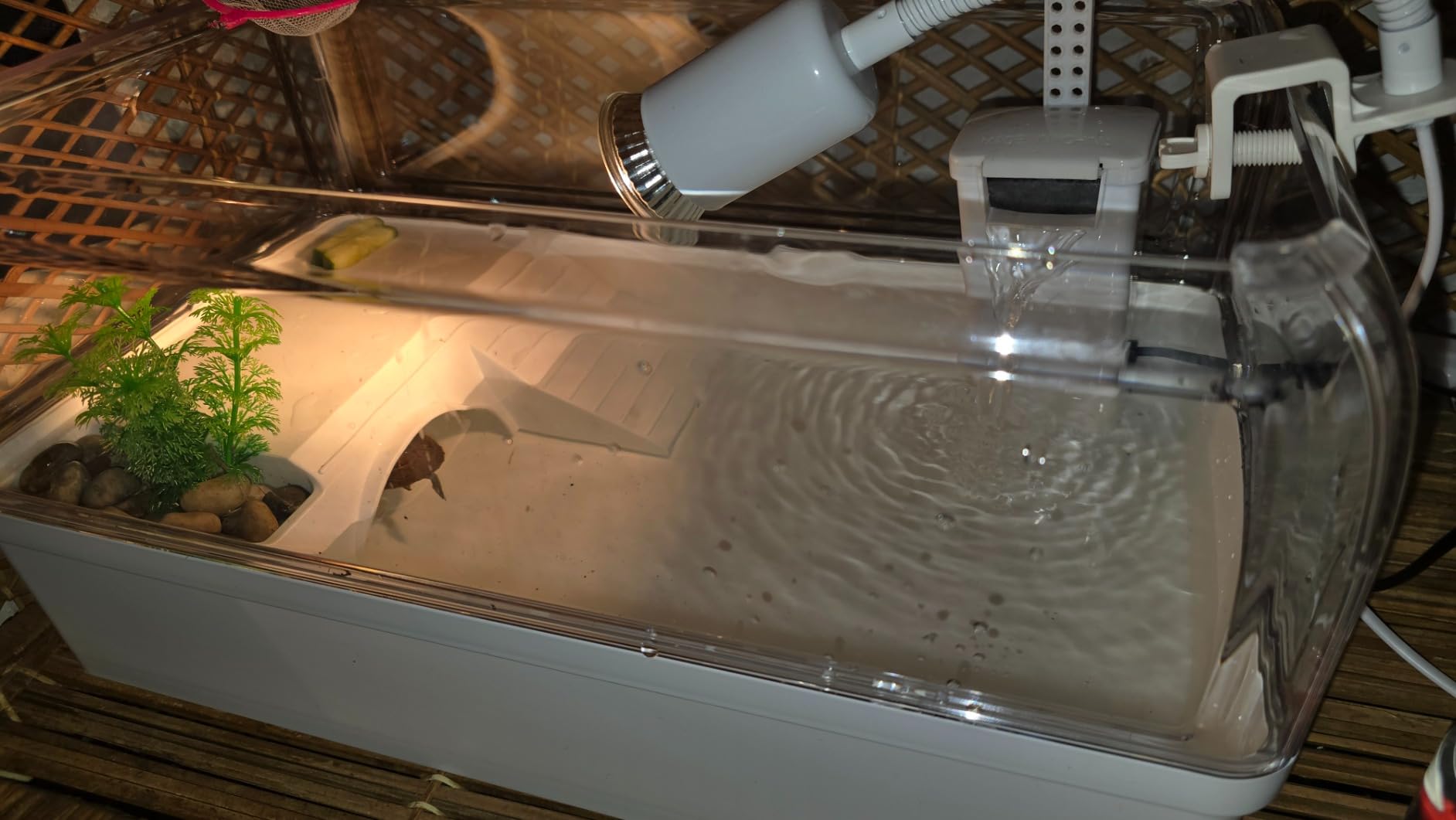 AZV Turtle Tank Starter Habitat Kit,Complete Aquatic Terrarium Enclosure customer photo 2