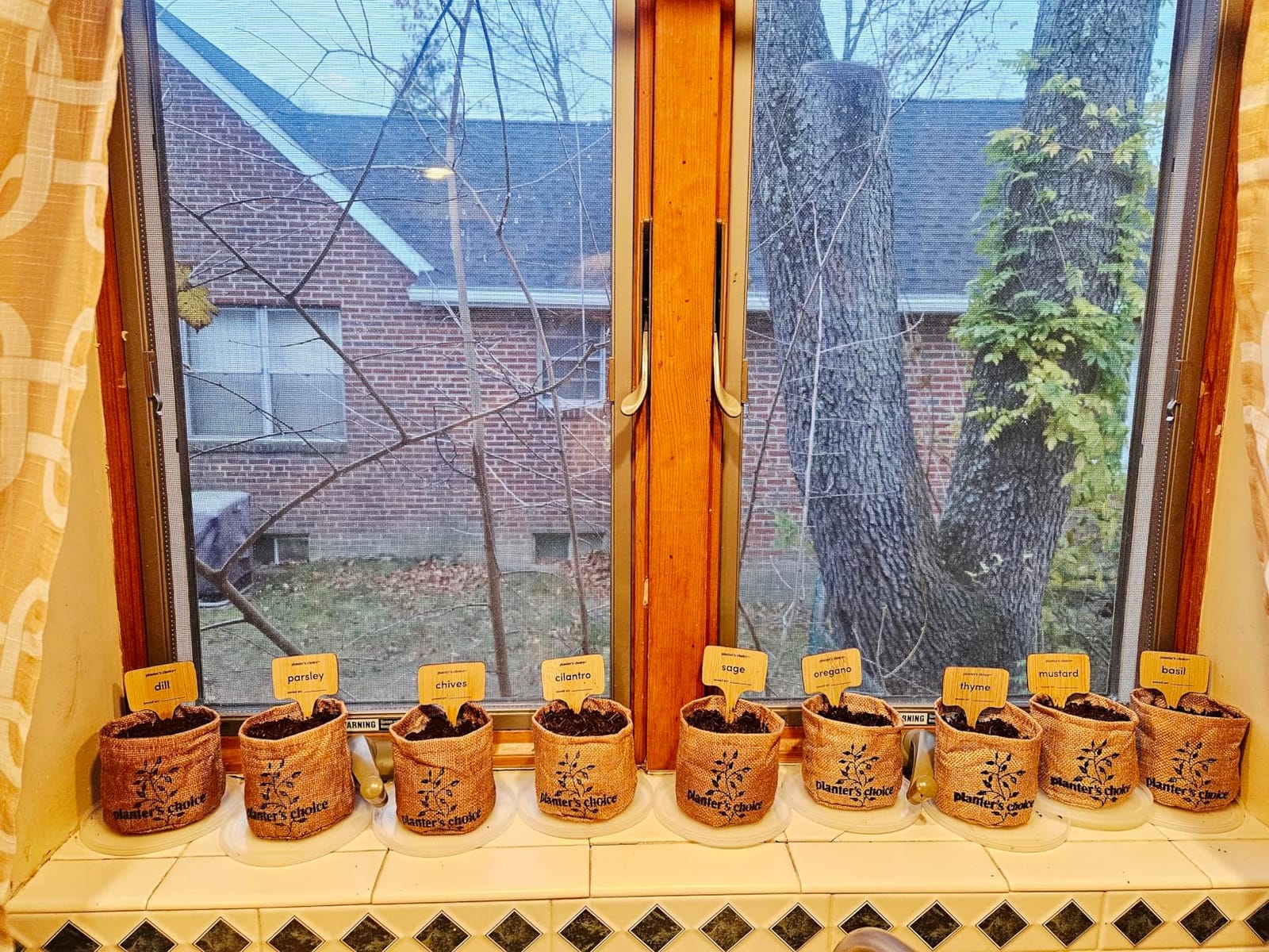 9 Herb Indoor Window Garden Kit - House Plants Seeds - Birthday Gifts customer photo 2