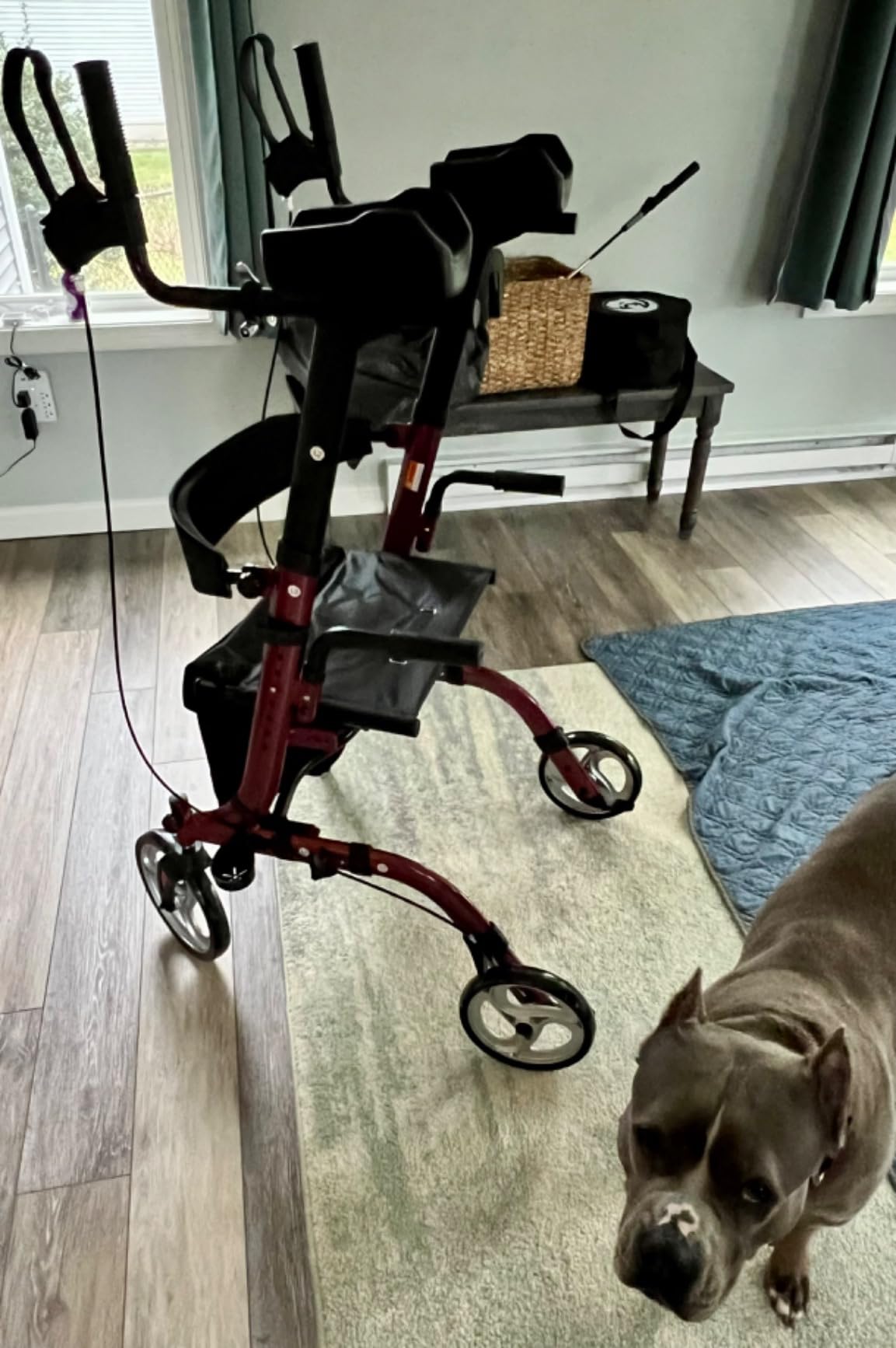 ELENKER Upright Walker, Stand Up Folding Rollator Walker Back Erect Rolling Mobility Walking Aid with Seat, Padded Armrests for Seniors and Adults, Blue customer photo 1