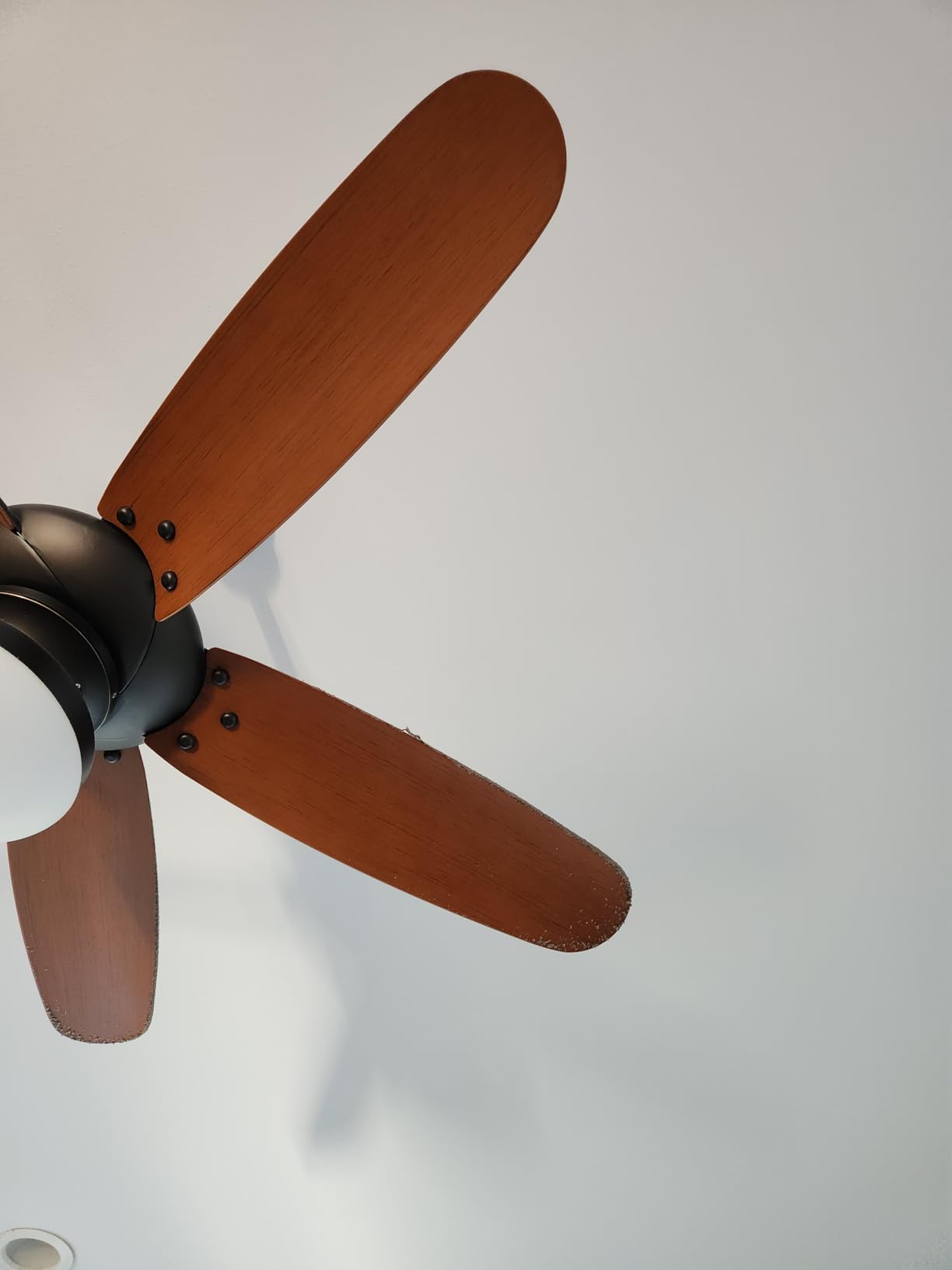 FONUNO Ceiling Fan Cleaner Duster High Ceiling Extended Fan Blade Cleaner customer photo 1