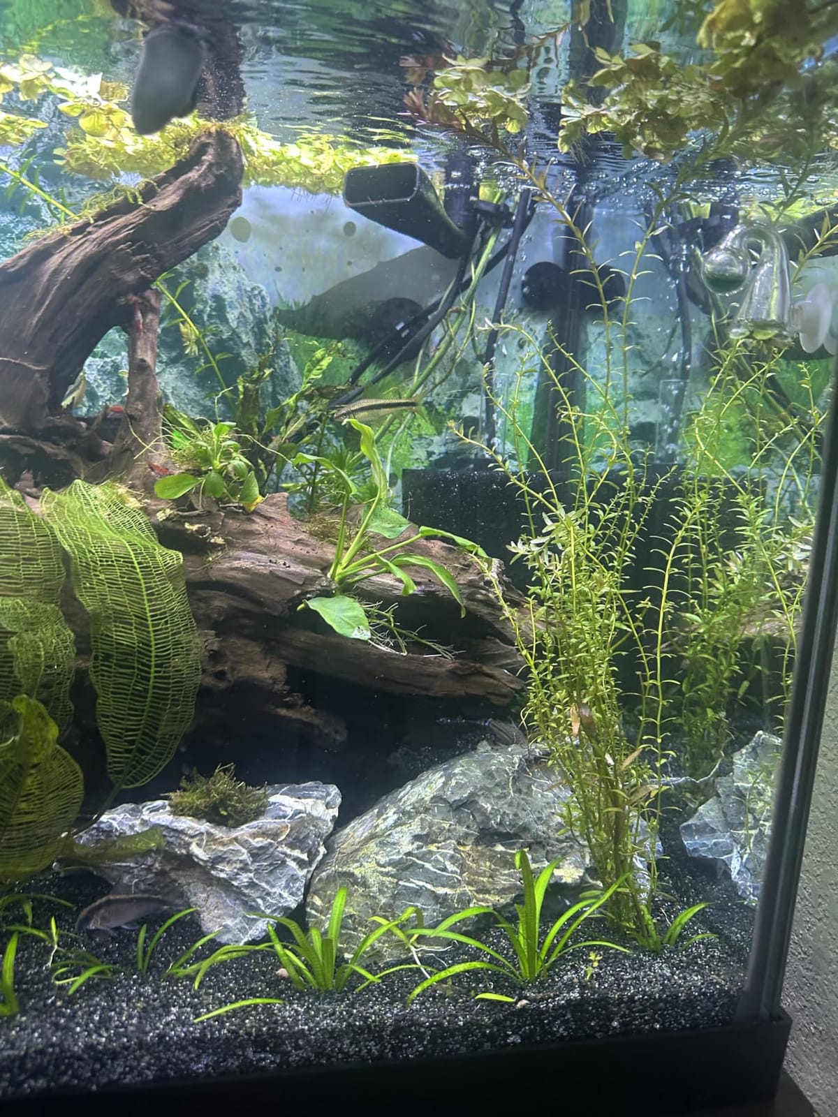100-120 Gal Large Aquarium Sponge Filter with Air Stone and Ceramic Media customer photo 1