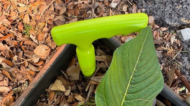 Seed Planter Tool, T-Handle Seed Dibber, Green, 1 Pack customer photo 2
