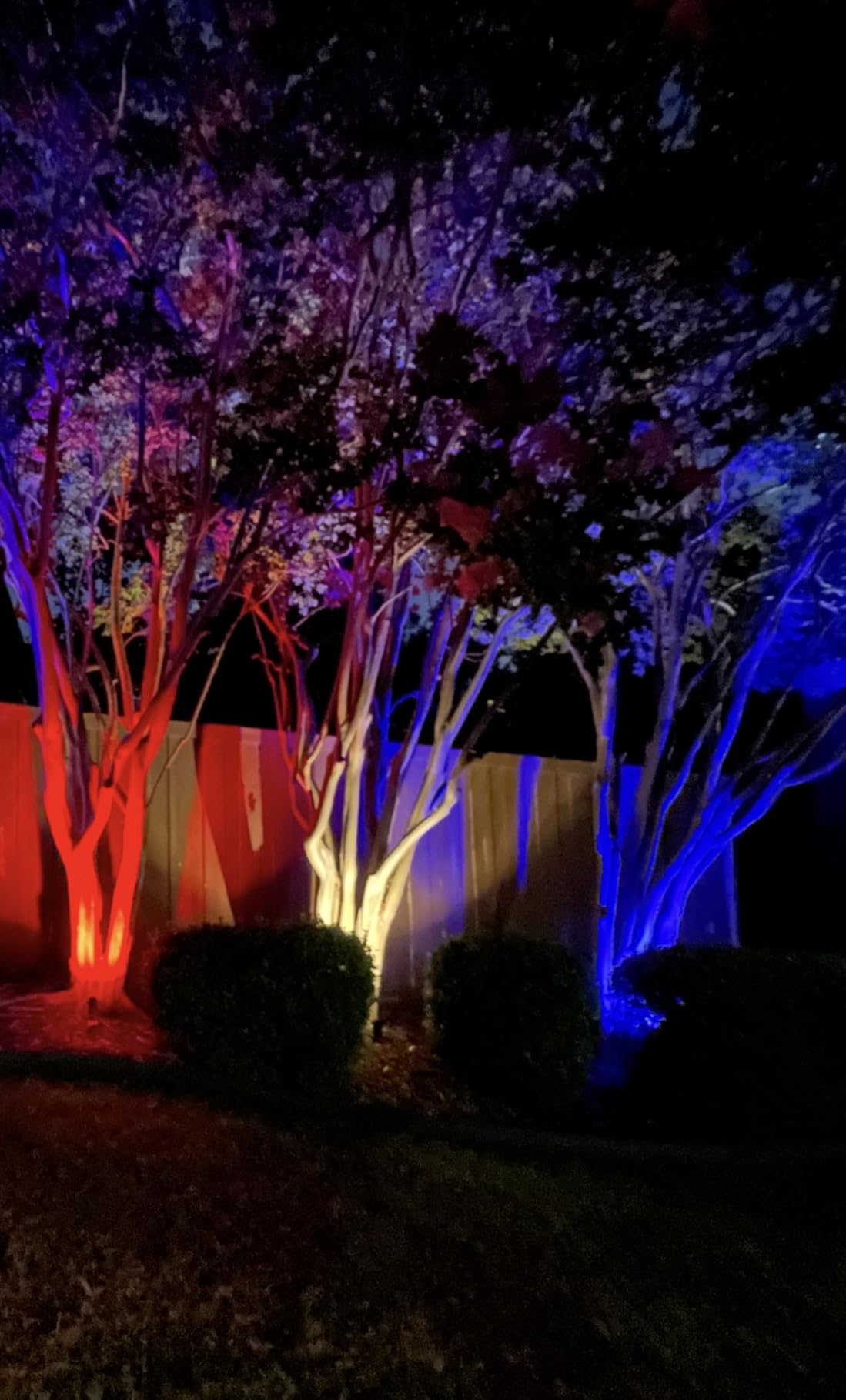 ZUCKEO 12W RGB Low Voltage Landscape Lights, LED Color Changing Landscape Lighting, IP66 Waterproof Outdoor Spotlight, 12V 24V Christmas Decorative Light for Yard Garden Path(12Pack) customer photo 2