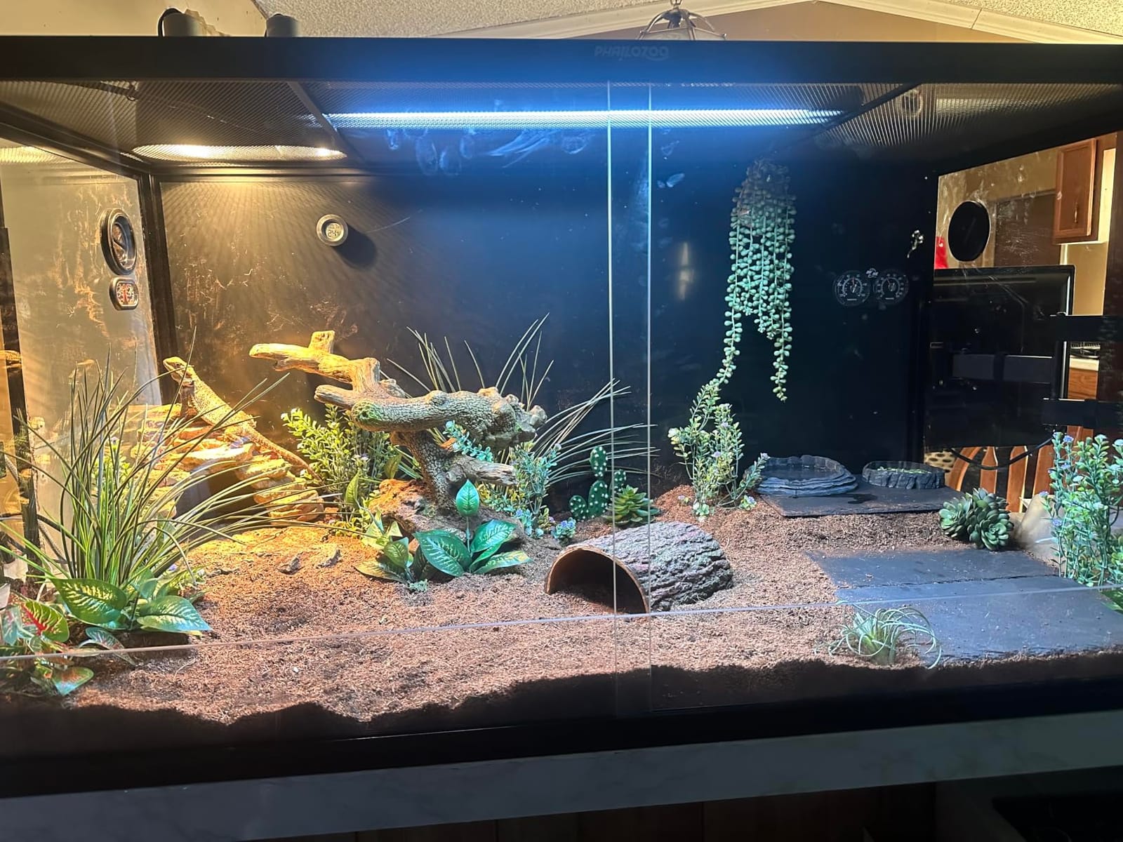 Phailozoo 120 Gallon Reptile Tank for Bearded Dragon, Snake, Adult Reptile | Optimal Ventilation & Light Penetration by Rust Proof Mesh Top, Easy Assembly within 6 Steps with Clear Instruction customer photo 2