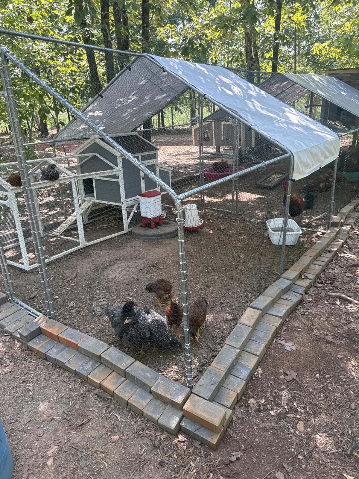 Outvita Chicken Coop, 19.5x10 FT Large Metal Chicken House, Poultry Habitat Cage with Waterproof Cover, Walk-in Chicken Run Pen for Small Animals, Yard, Farm, Patio customer photo 2